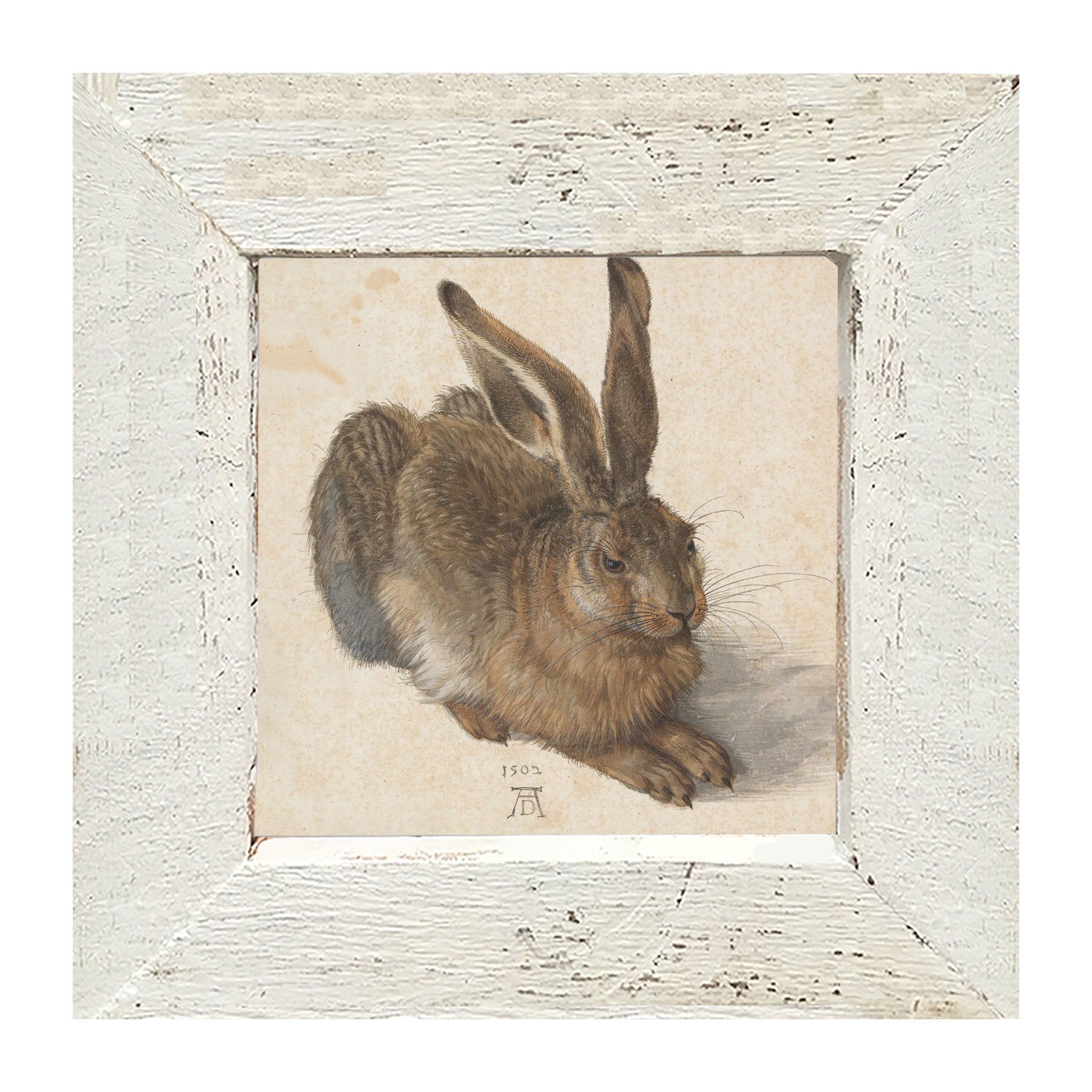 Brown Bunny - Framed art