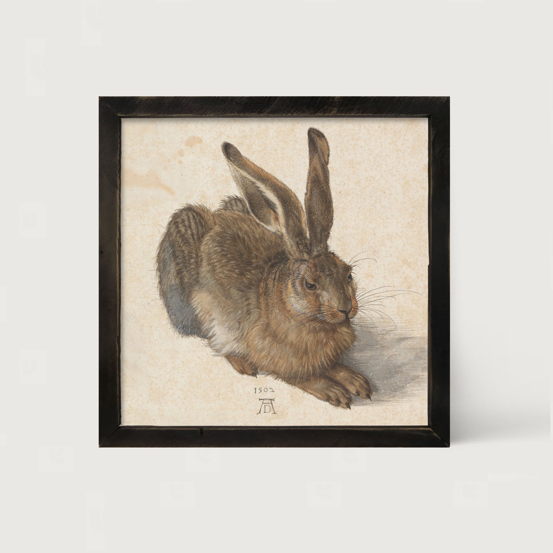 Brown Bunny - Framed art