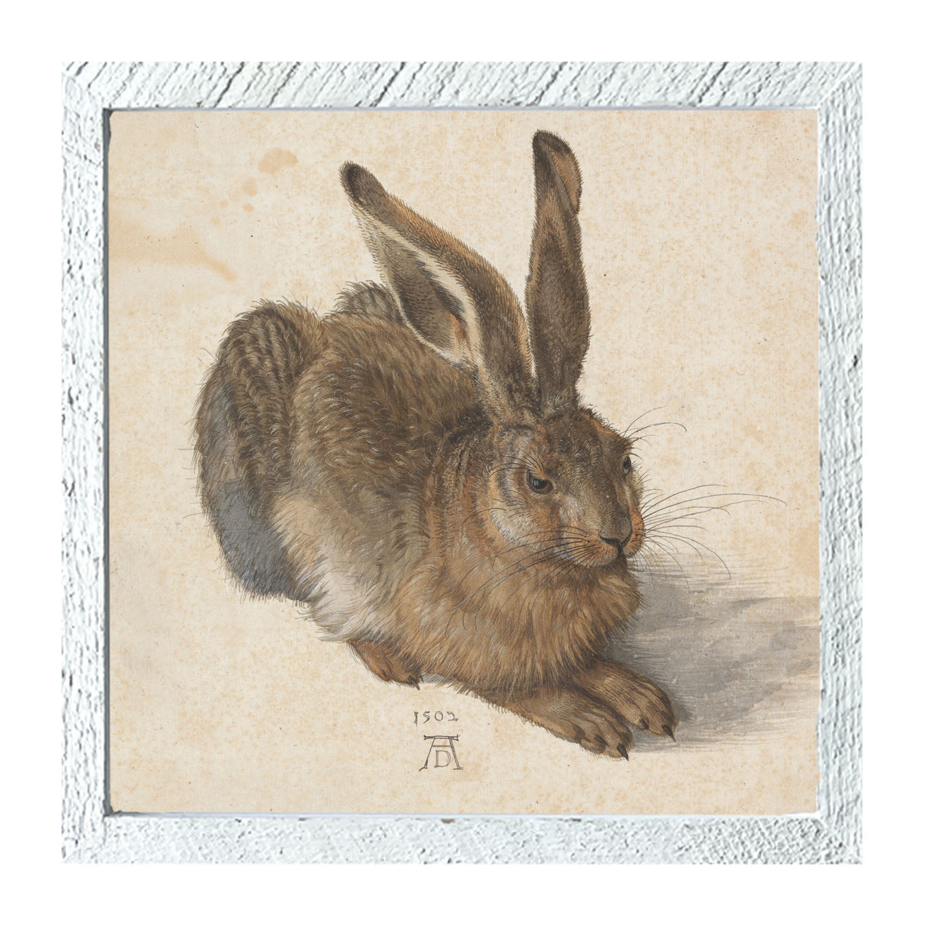 Brown Bunny - Framed art