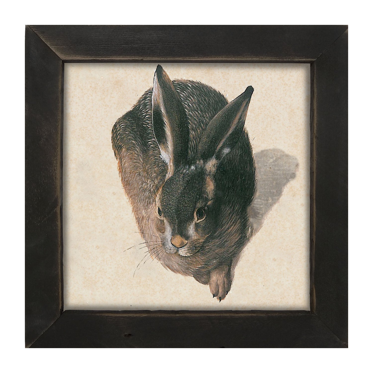 Vintage Hare - Framed Art