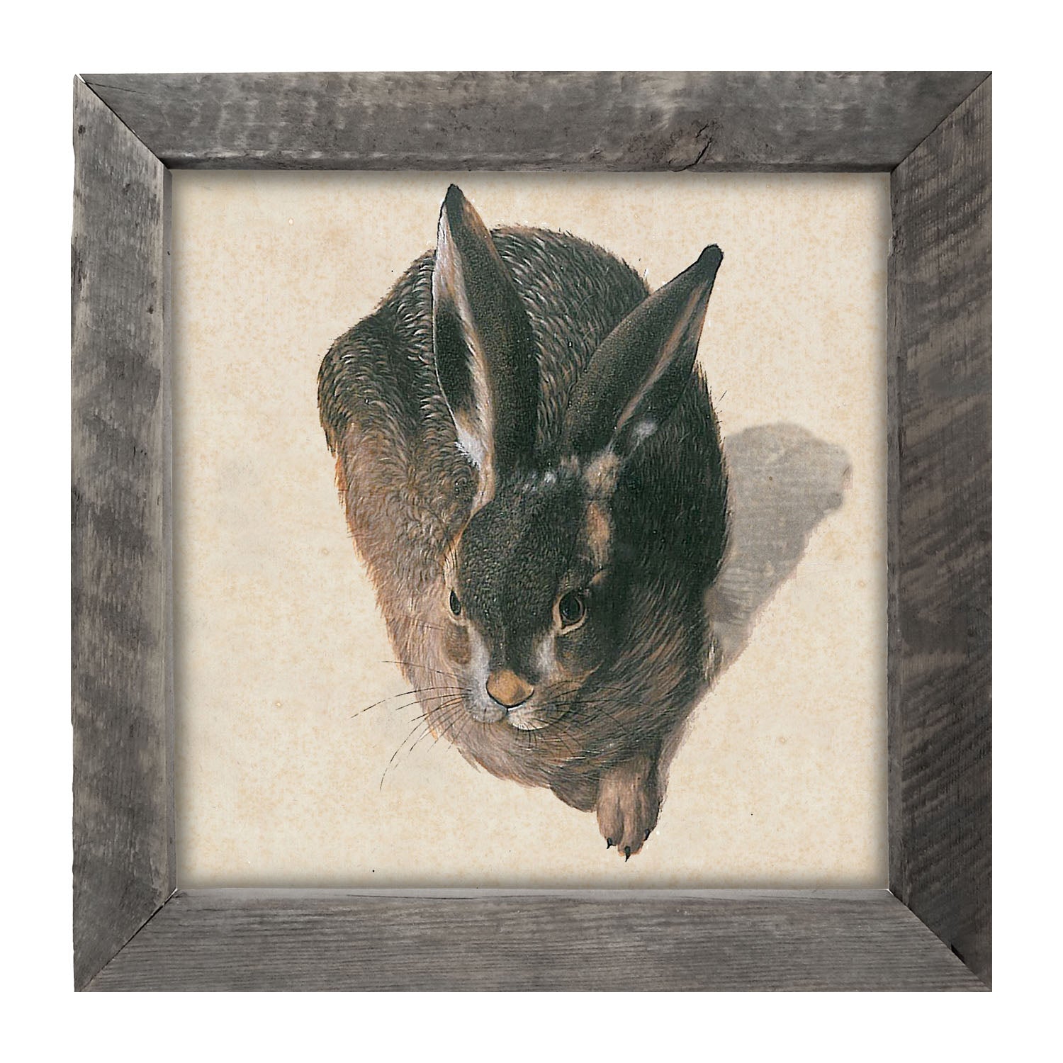 Vintage Hare - Framed Art