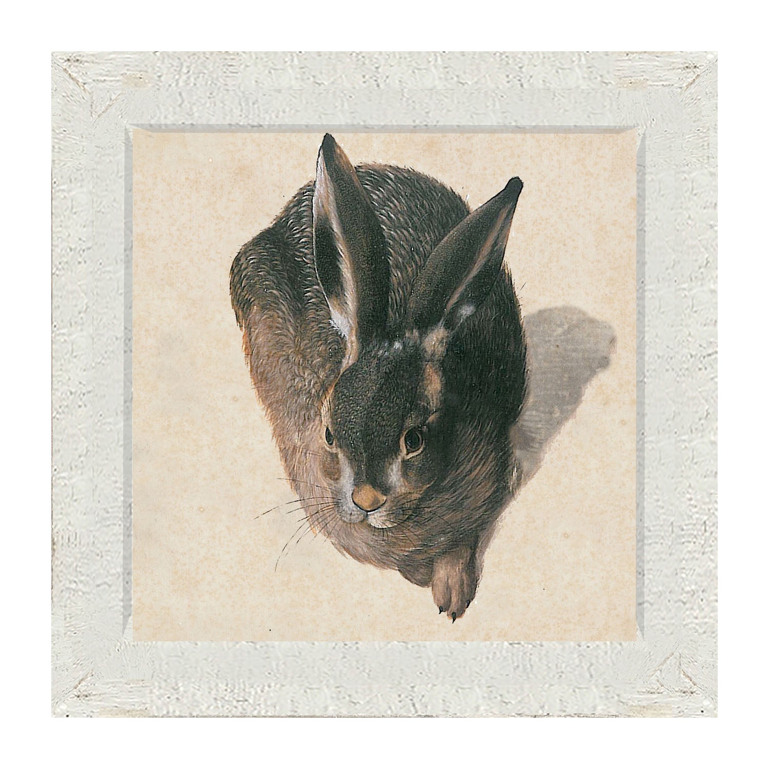 Vintage Hare - Framed Art