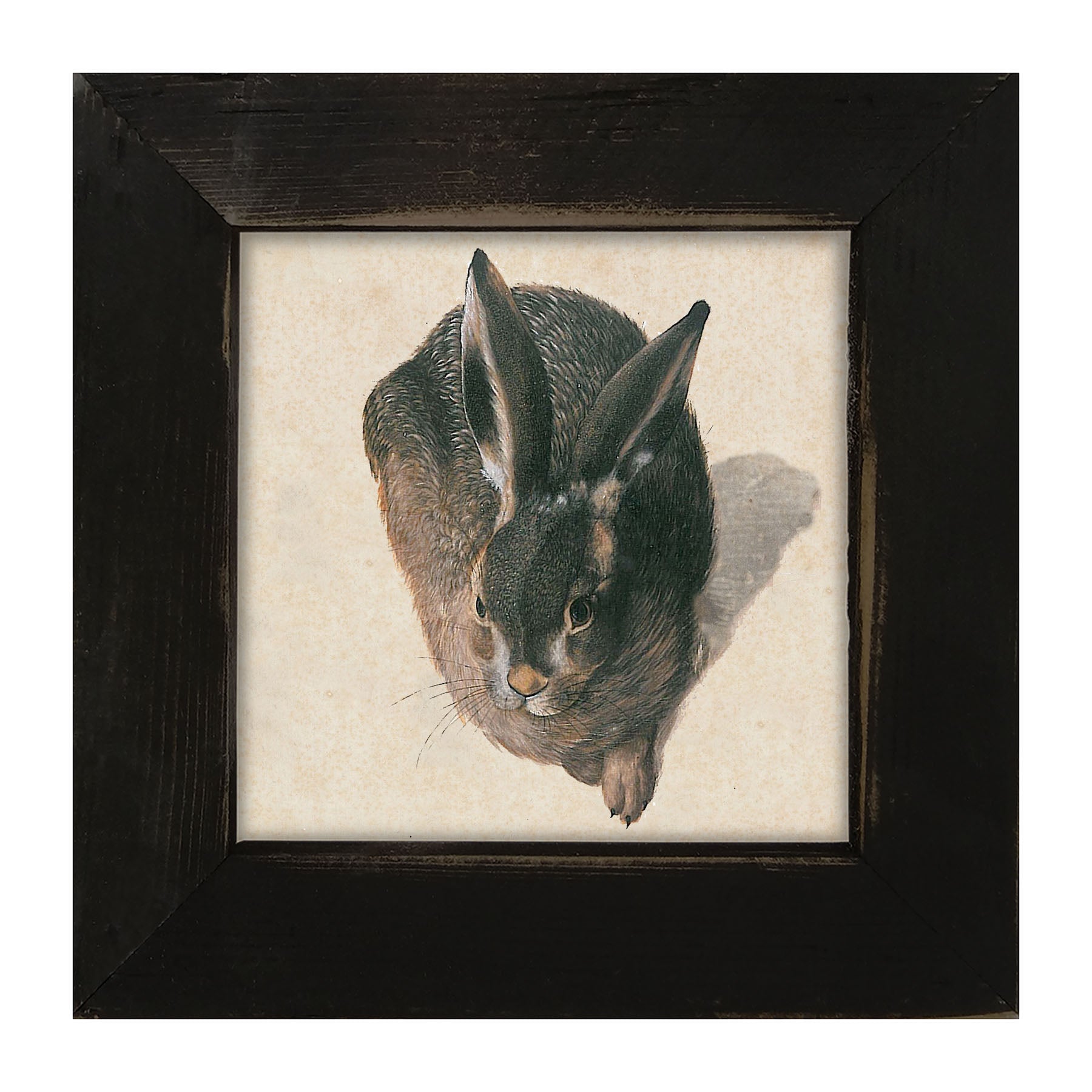 Vintage Hare - Framed Art