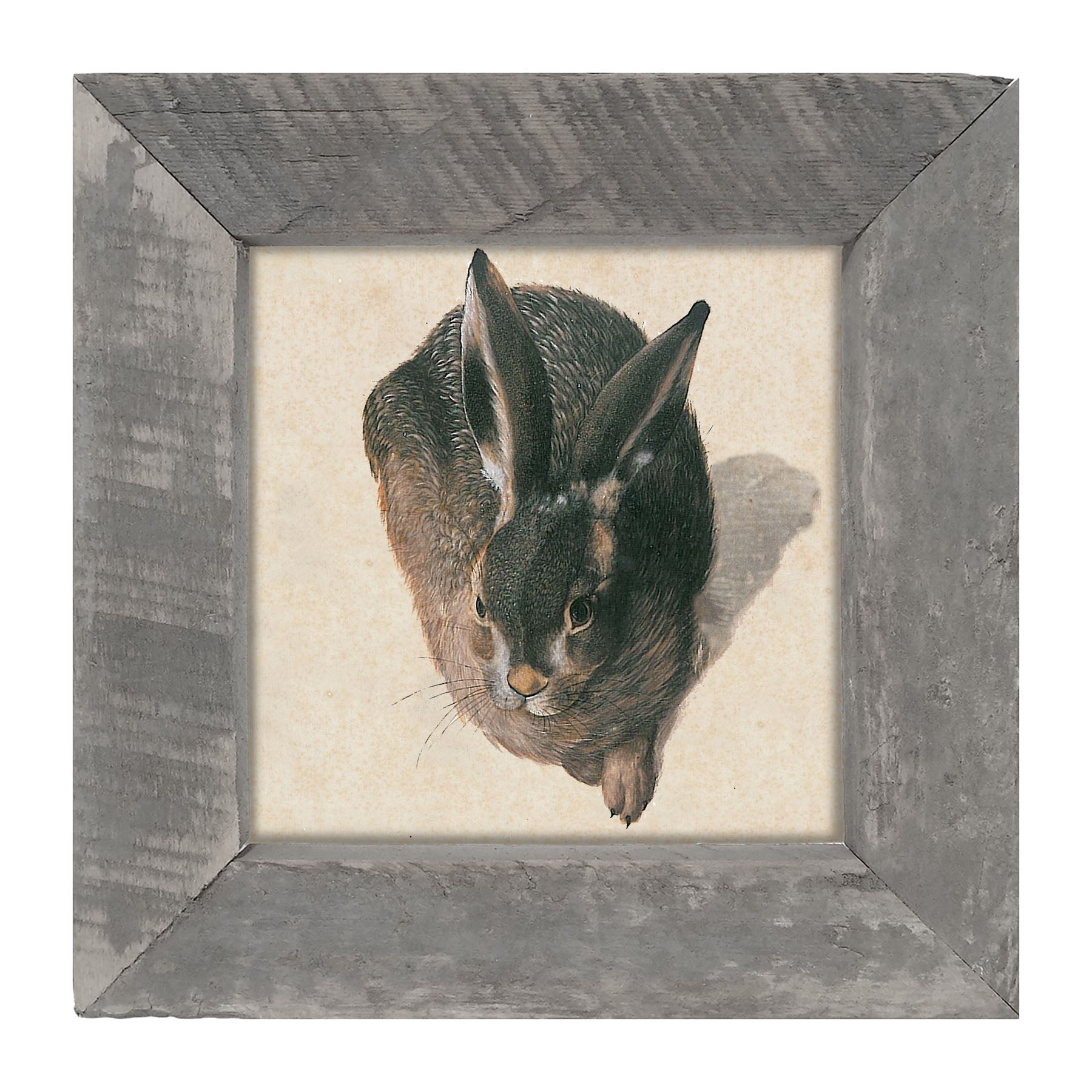 Vintage Hare - Framed Art