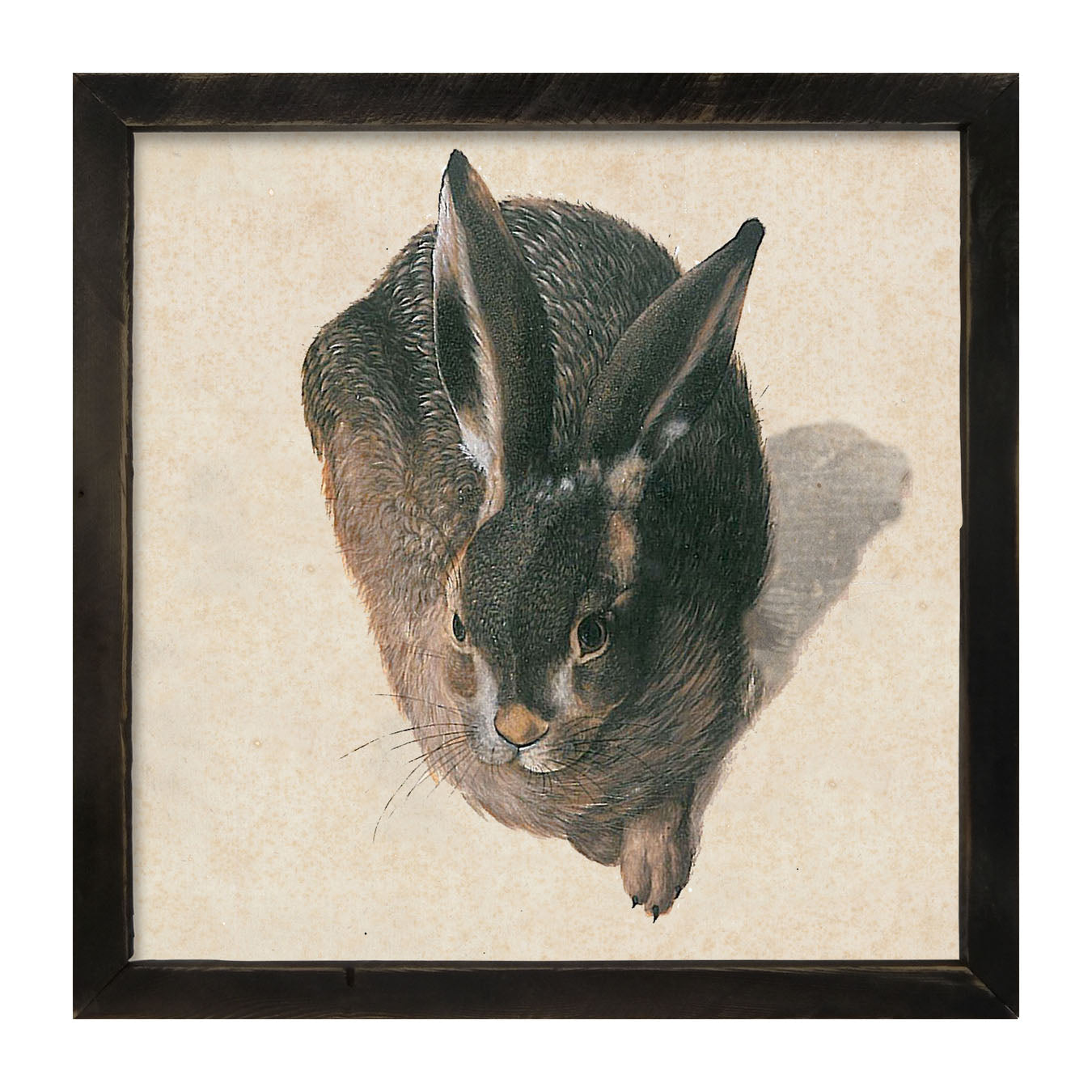 Vintage Hare - Framed Art