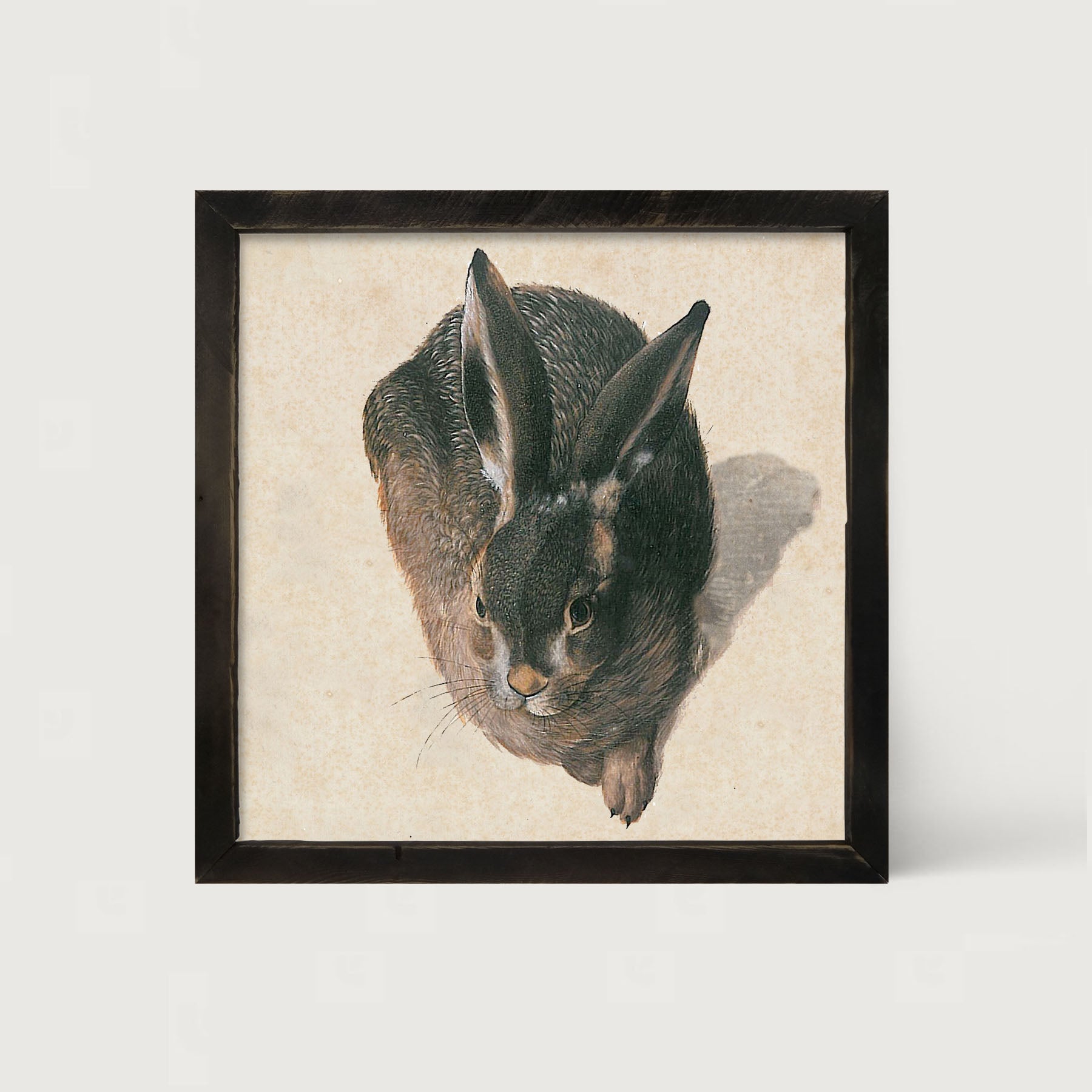 Vintage Hare - Framed Art