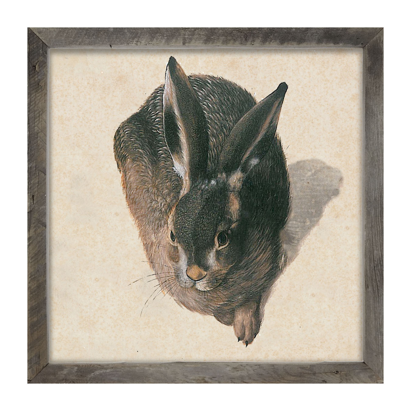 Vintage Hare - Framed Art
