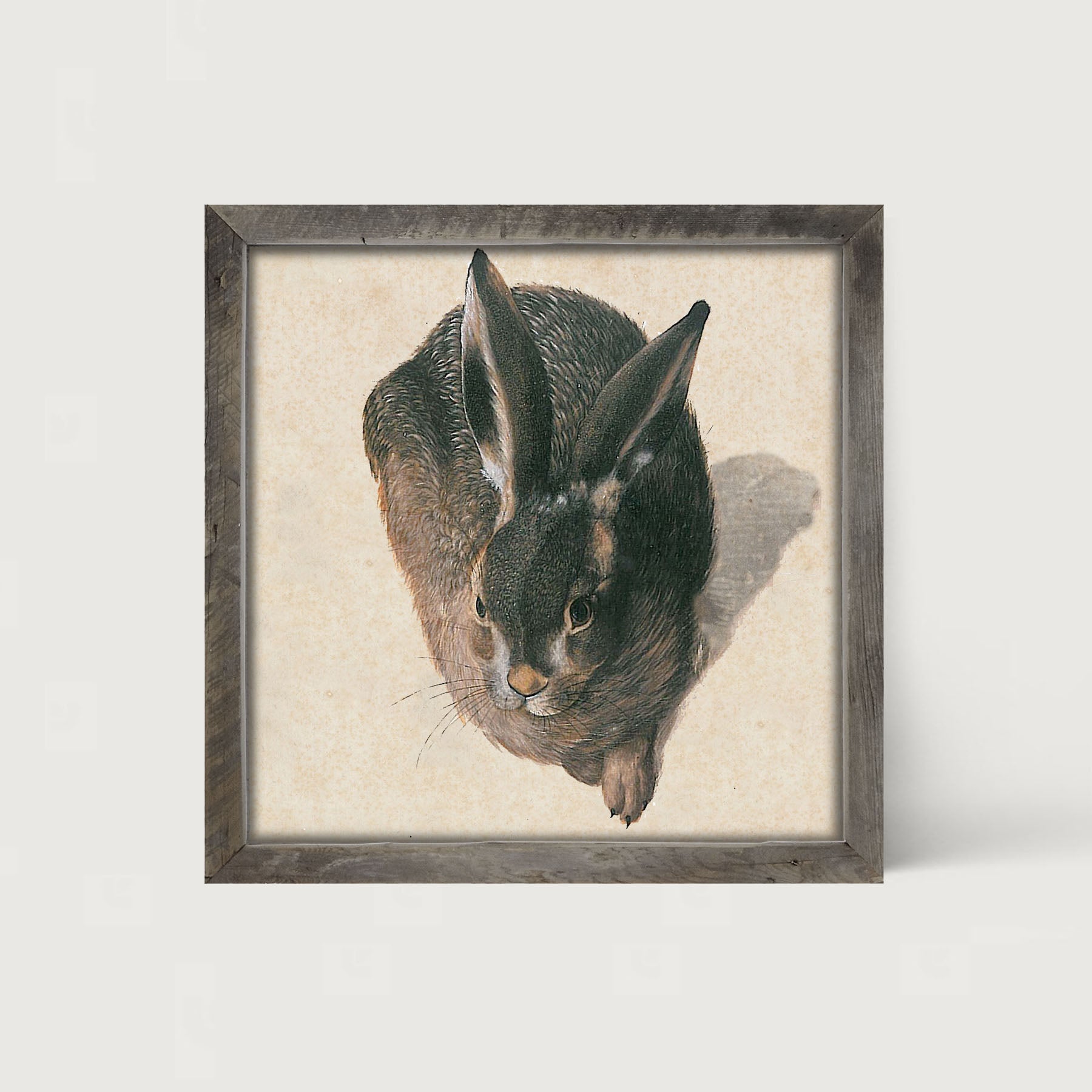 Vintage Hare - Framed Art