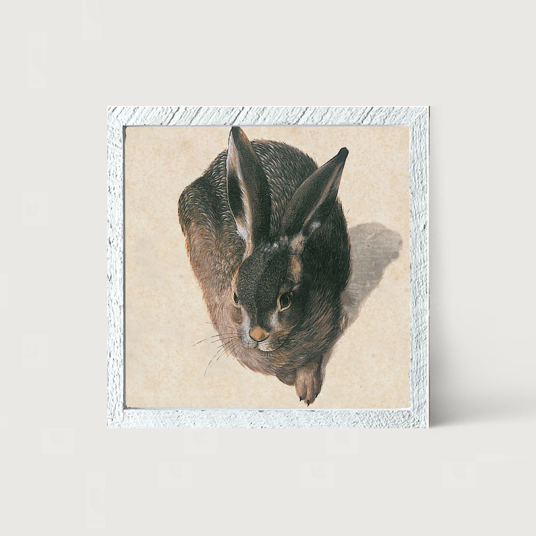 Vintage Hare - Framed Art
