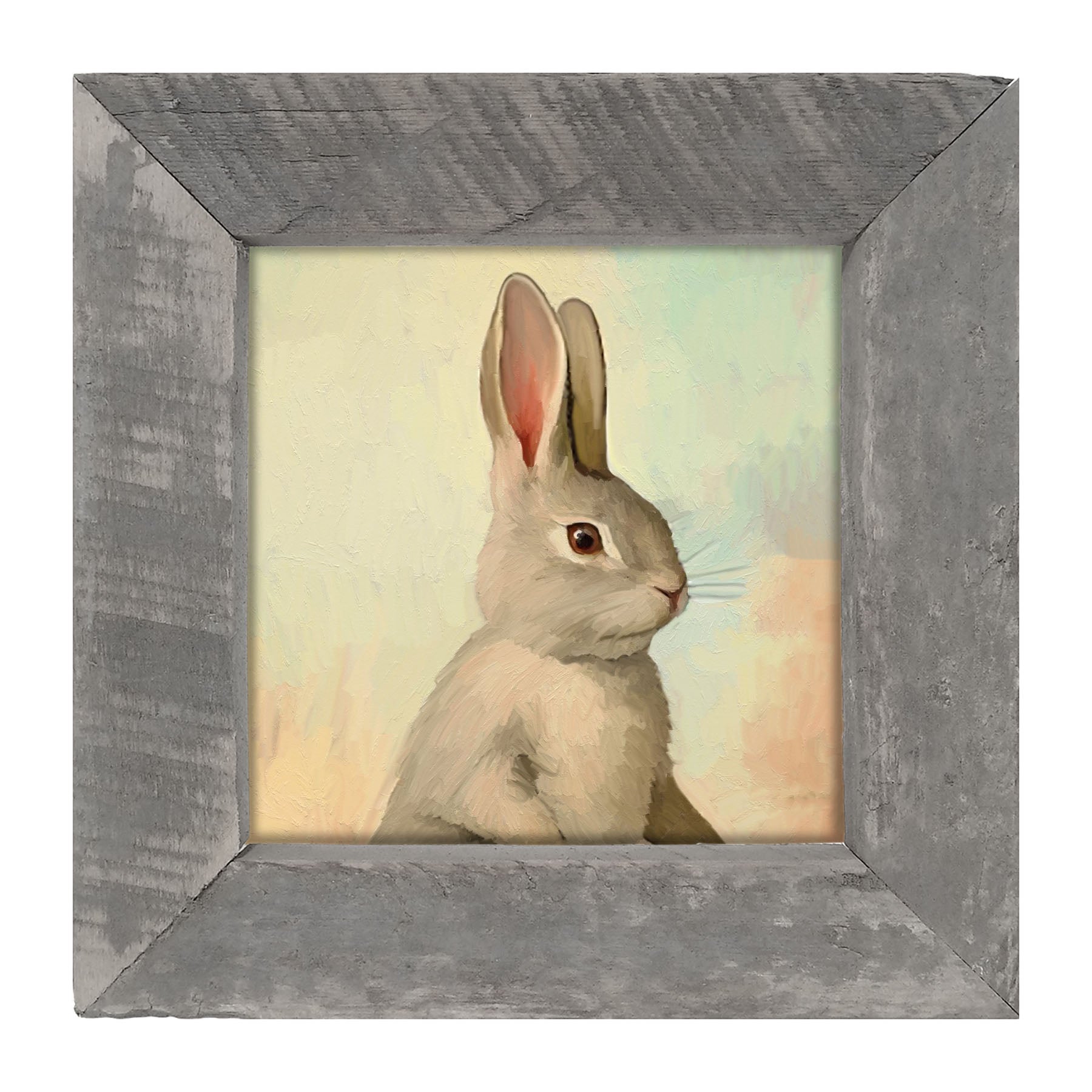 Pastel bunny posing - Framed art
