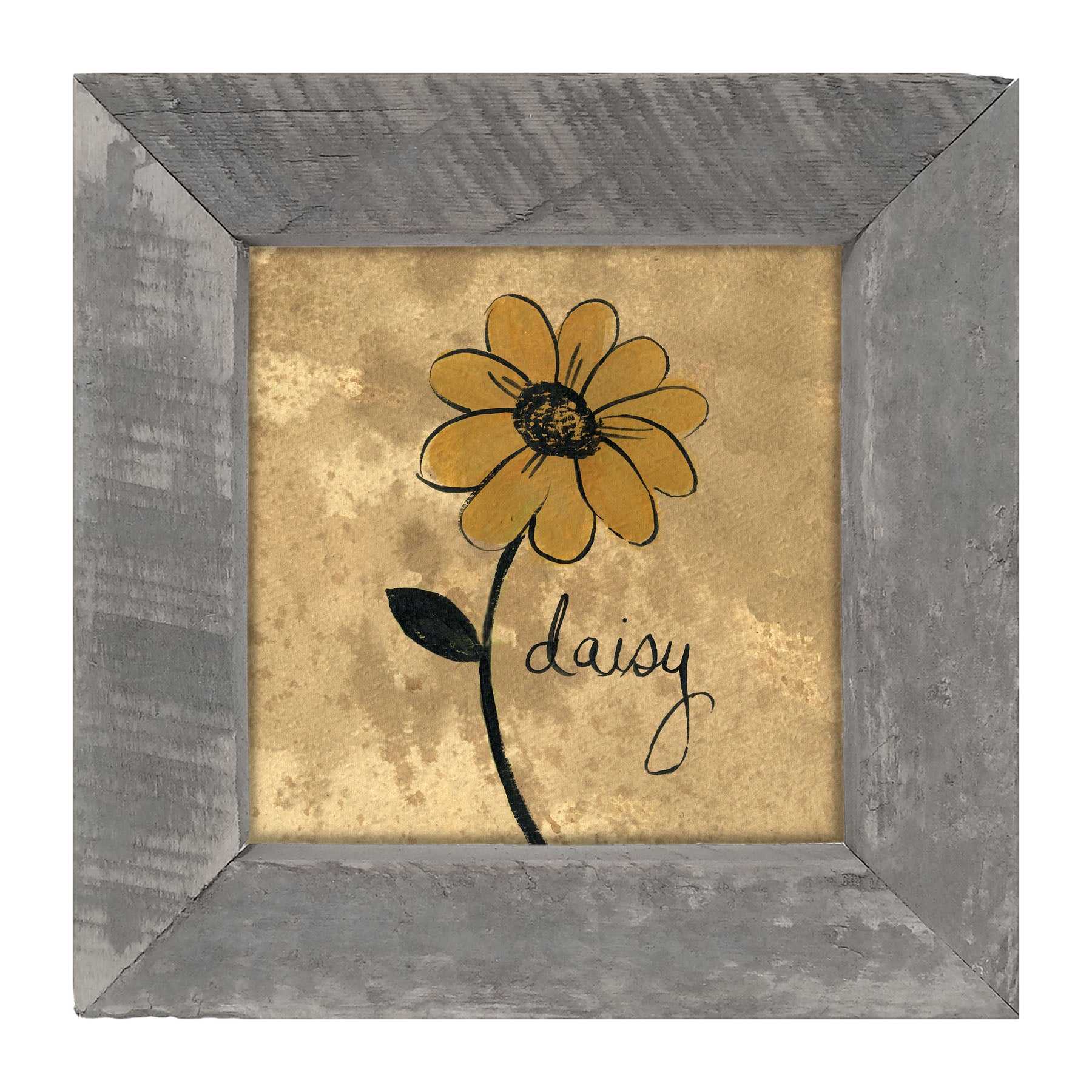 Daisy - Framed art