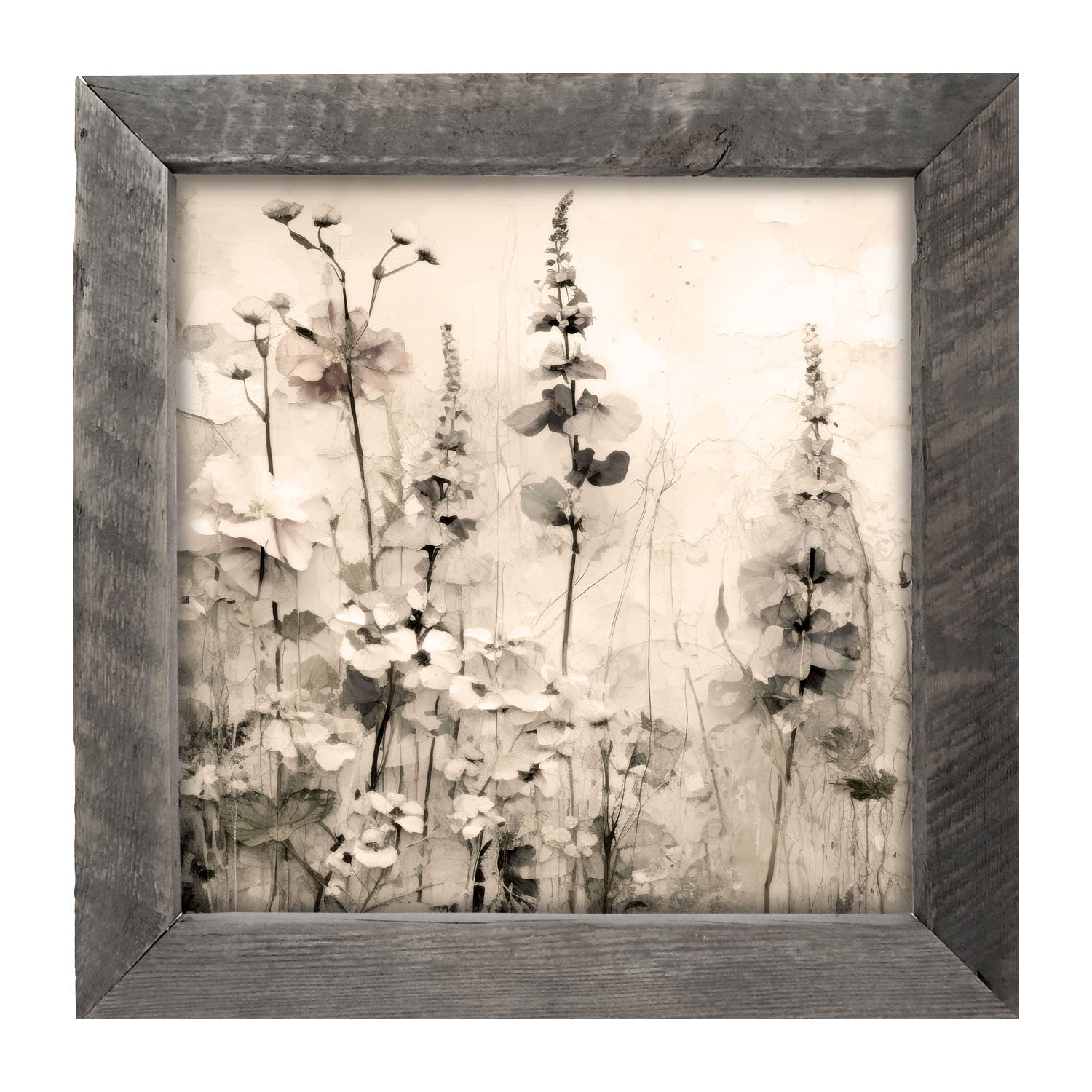 Monochrome flowers 1 - Framed art