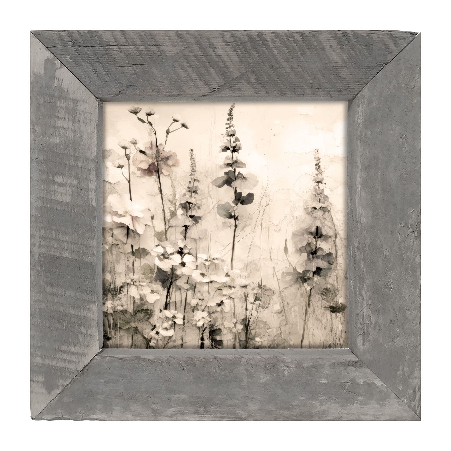 Monochrome flowers 1 - Framed art