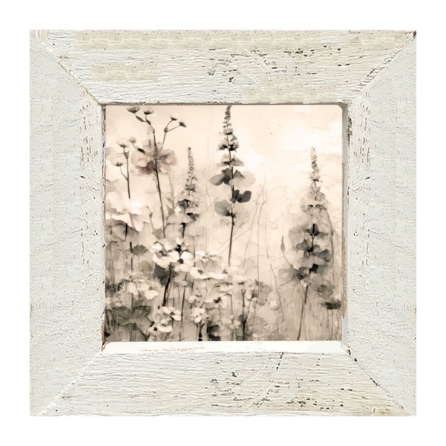 Monochrome flowers 1 - Framed art