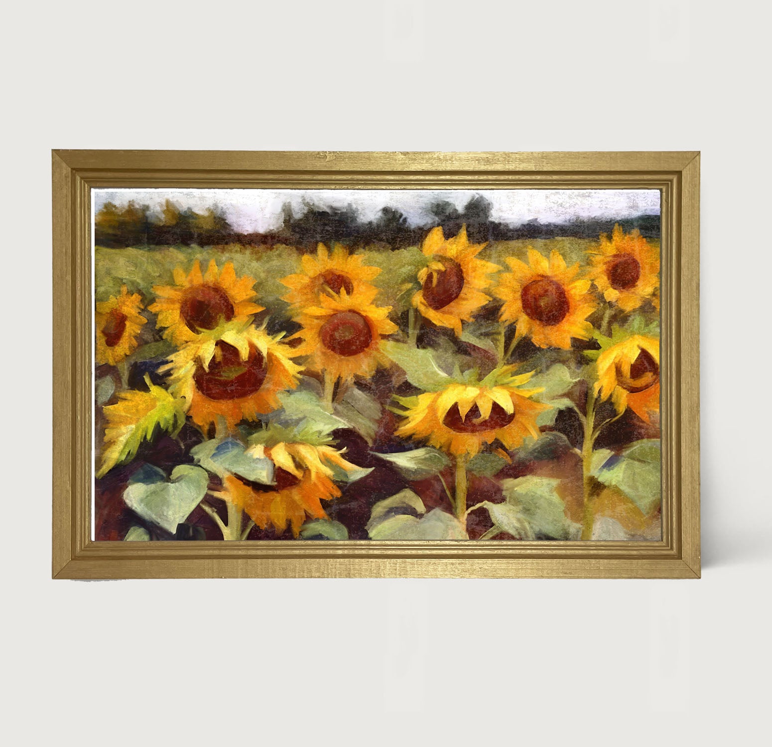 Scenic Sunflowers - Framed Art