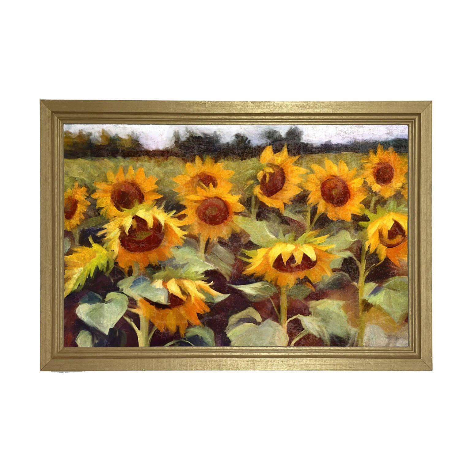 Scenic Sunflowers - Framed Art