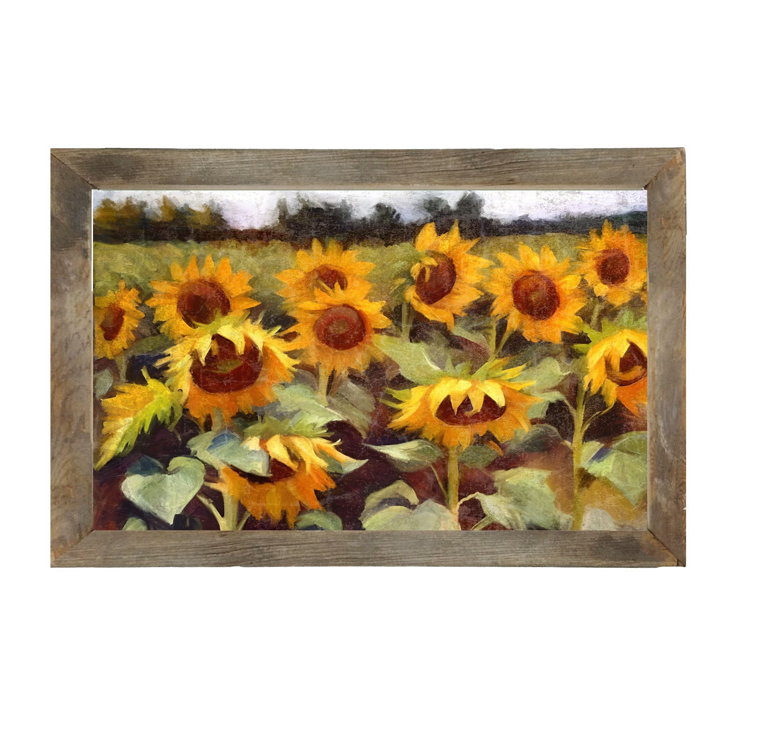Scenic Sunflowers - Framed Art