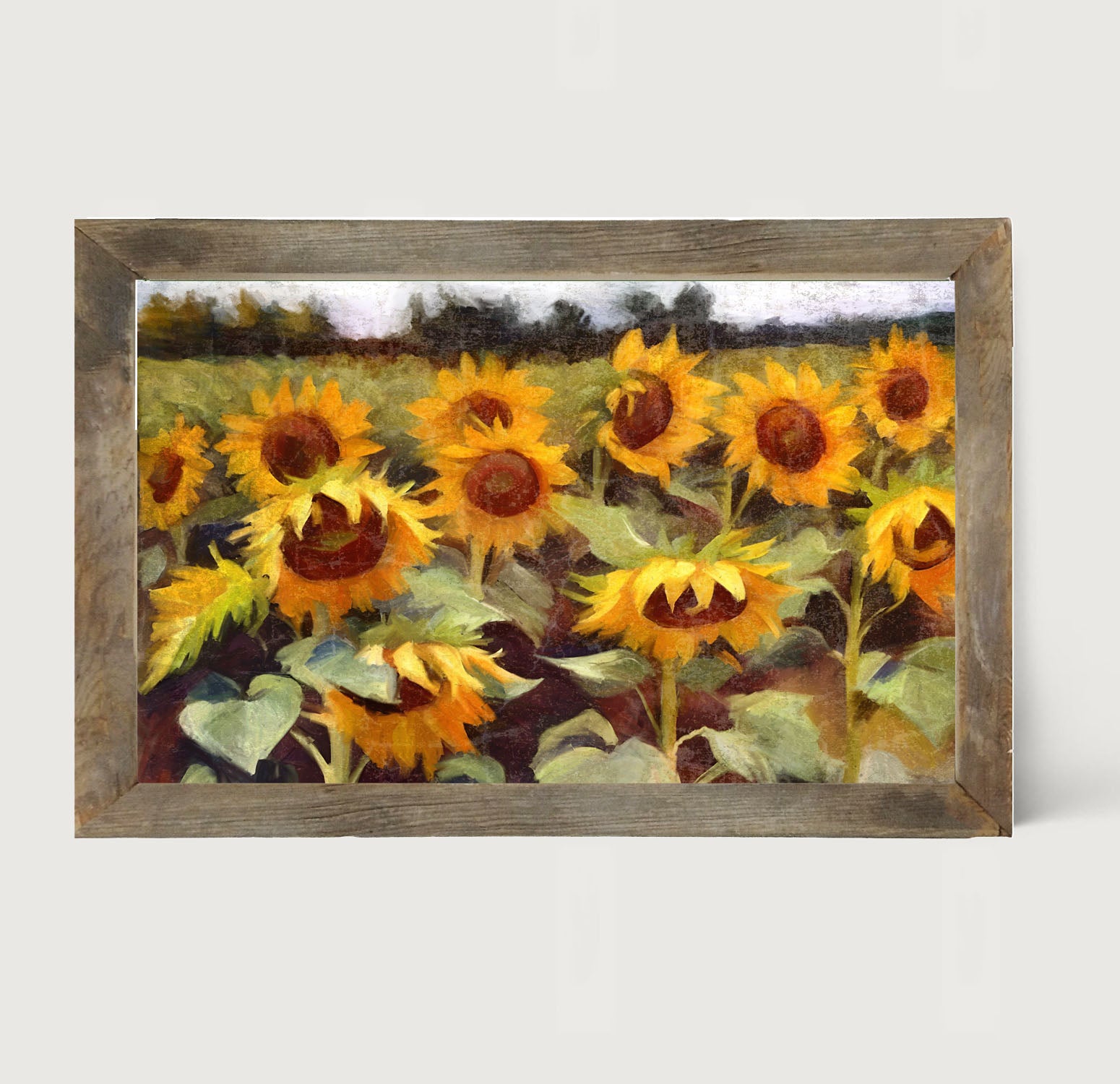 Scenic Sunflowers - Framed Art