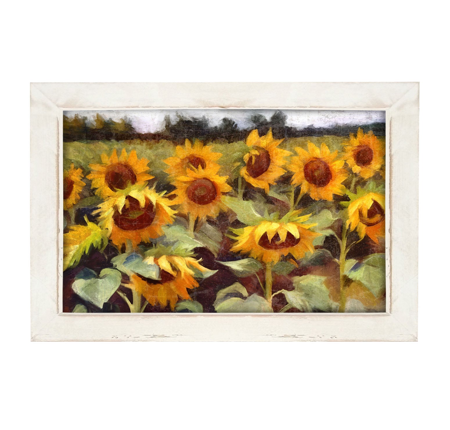 Scenic Sunflowers - Framed Art