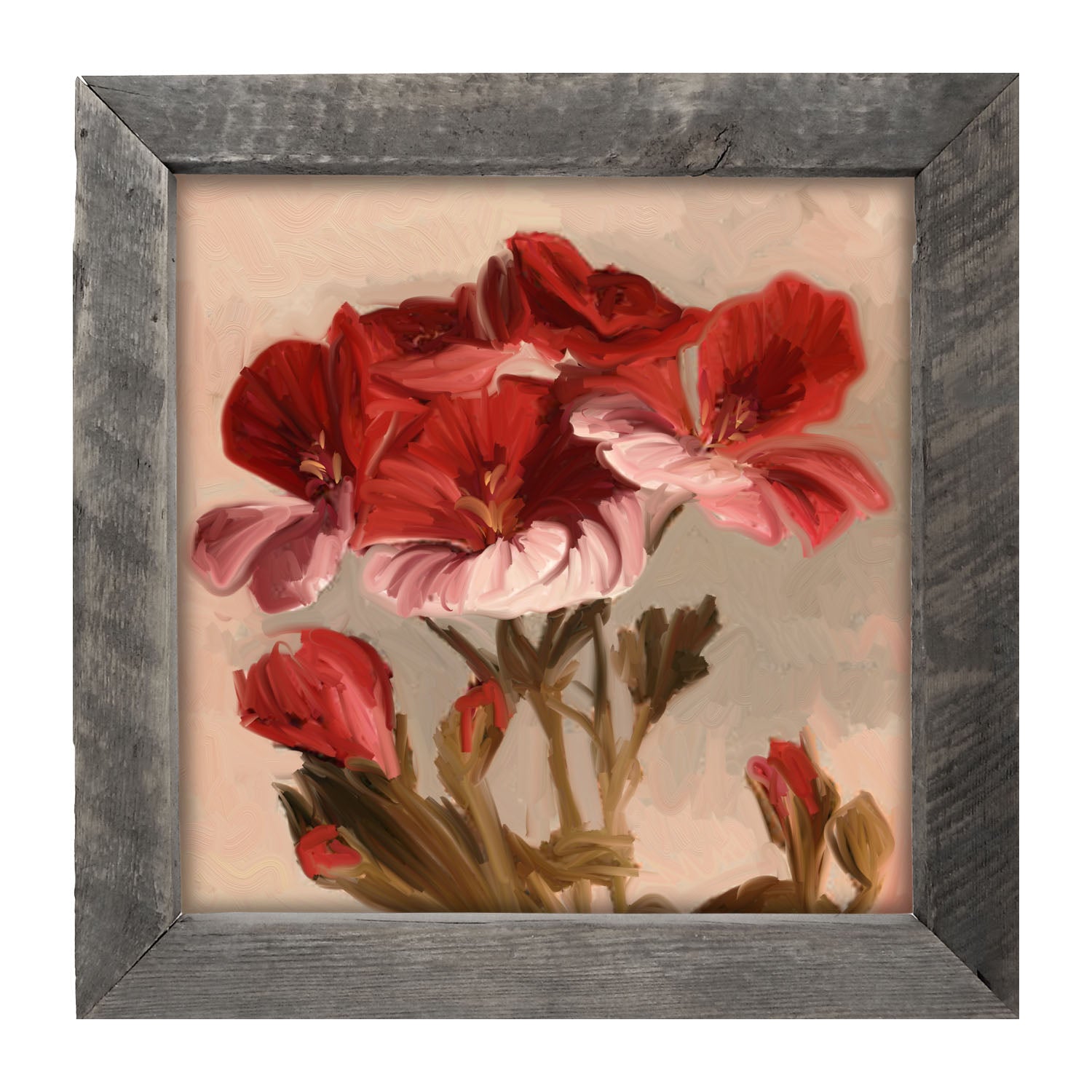 Geranium with Pink Petals - Framed art