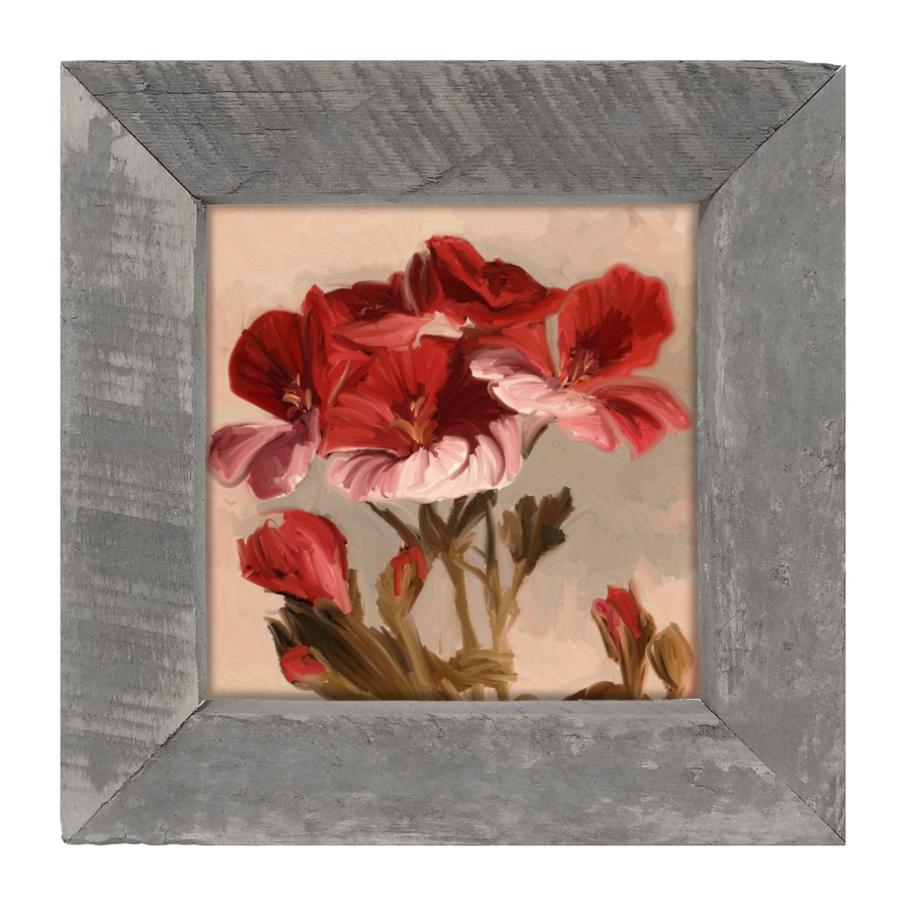 Geranium with Pink Petals - Framed art