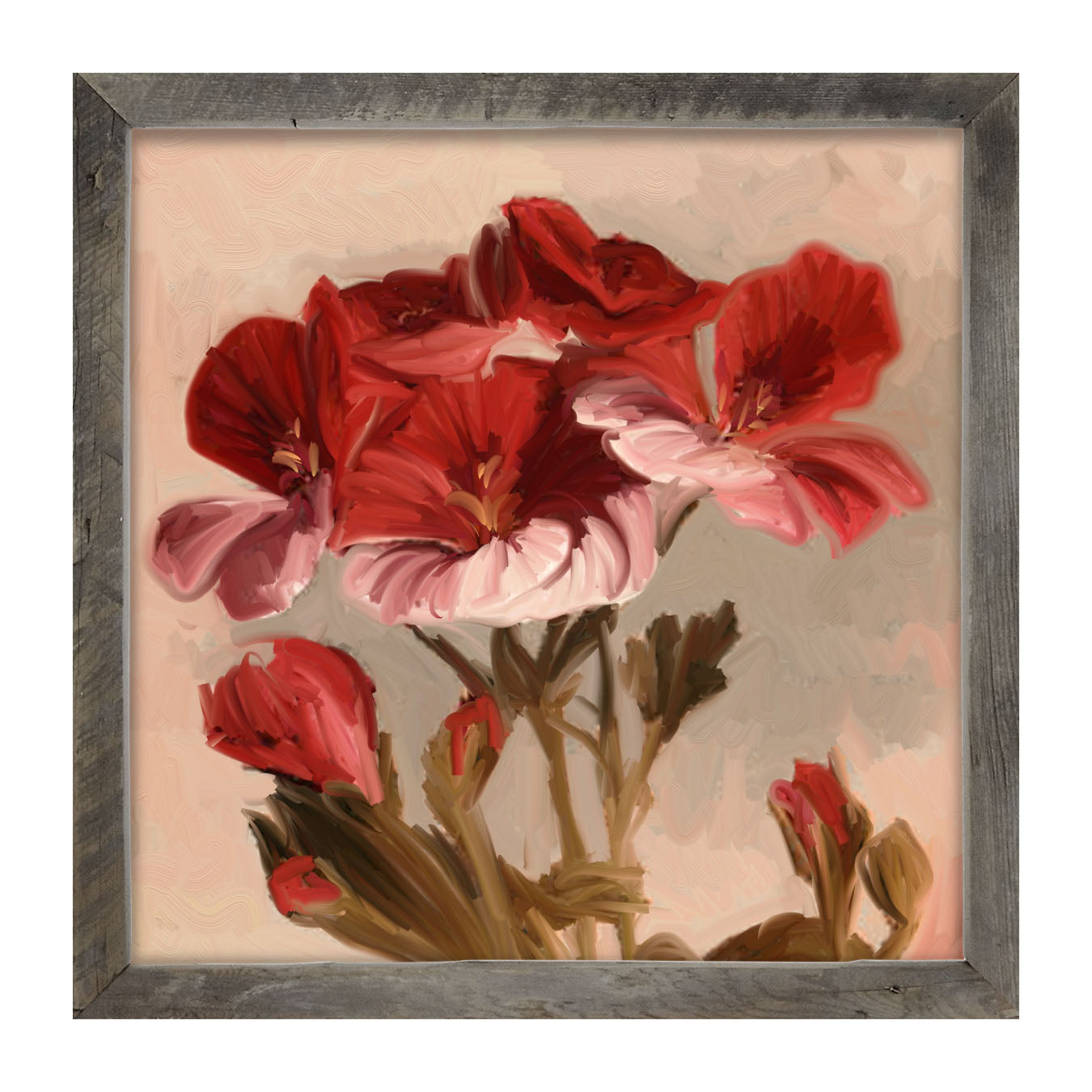Geranium with Pink Petals - Framed art