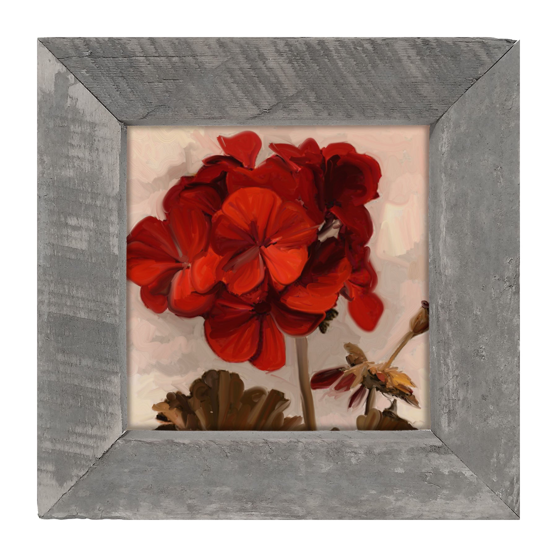 Red Geranium - Framed art