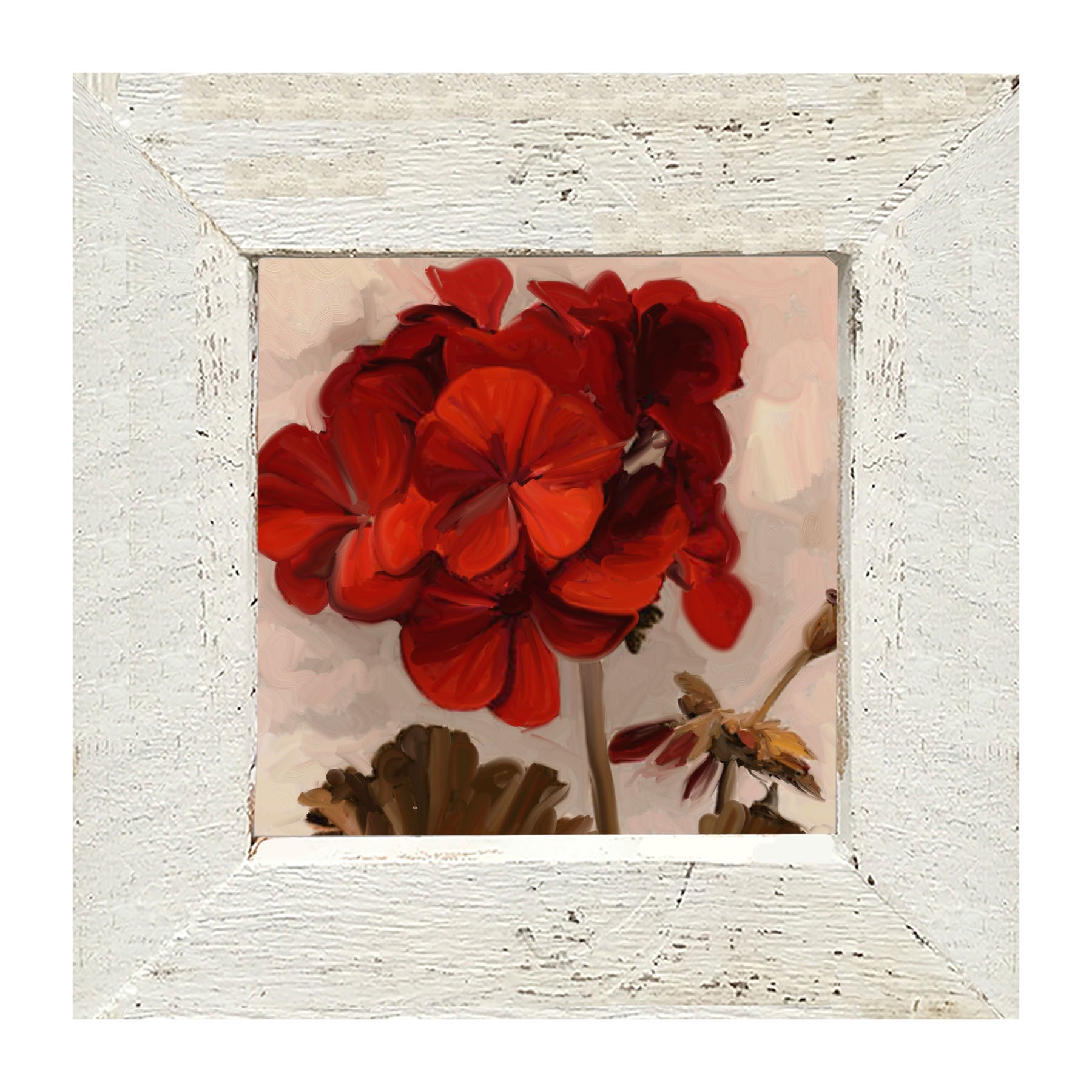 Red Geranium - Framed art