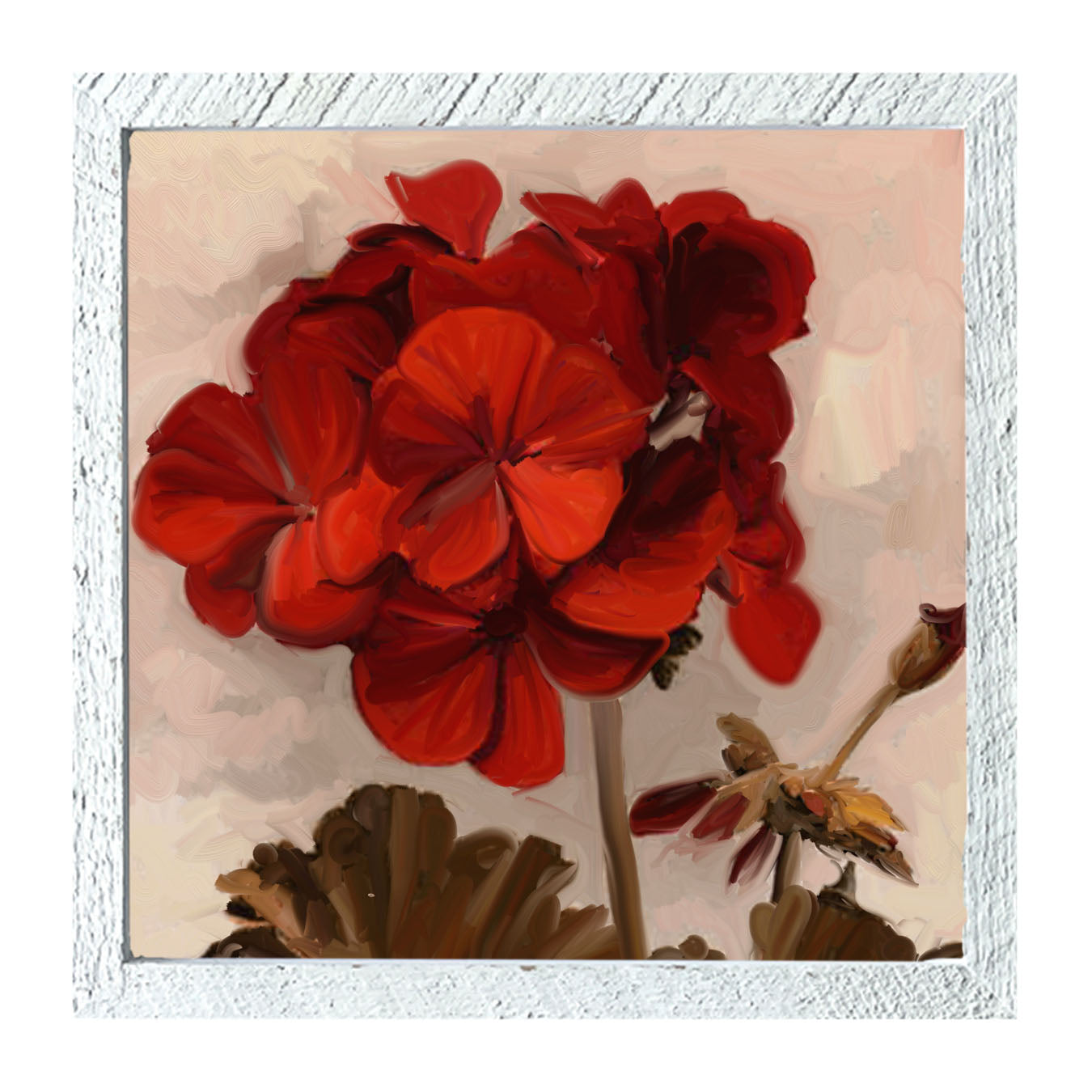 Red Geranium - Framed art