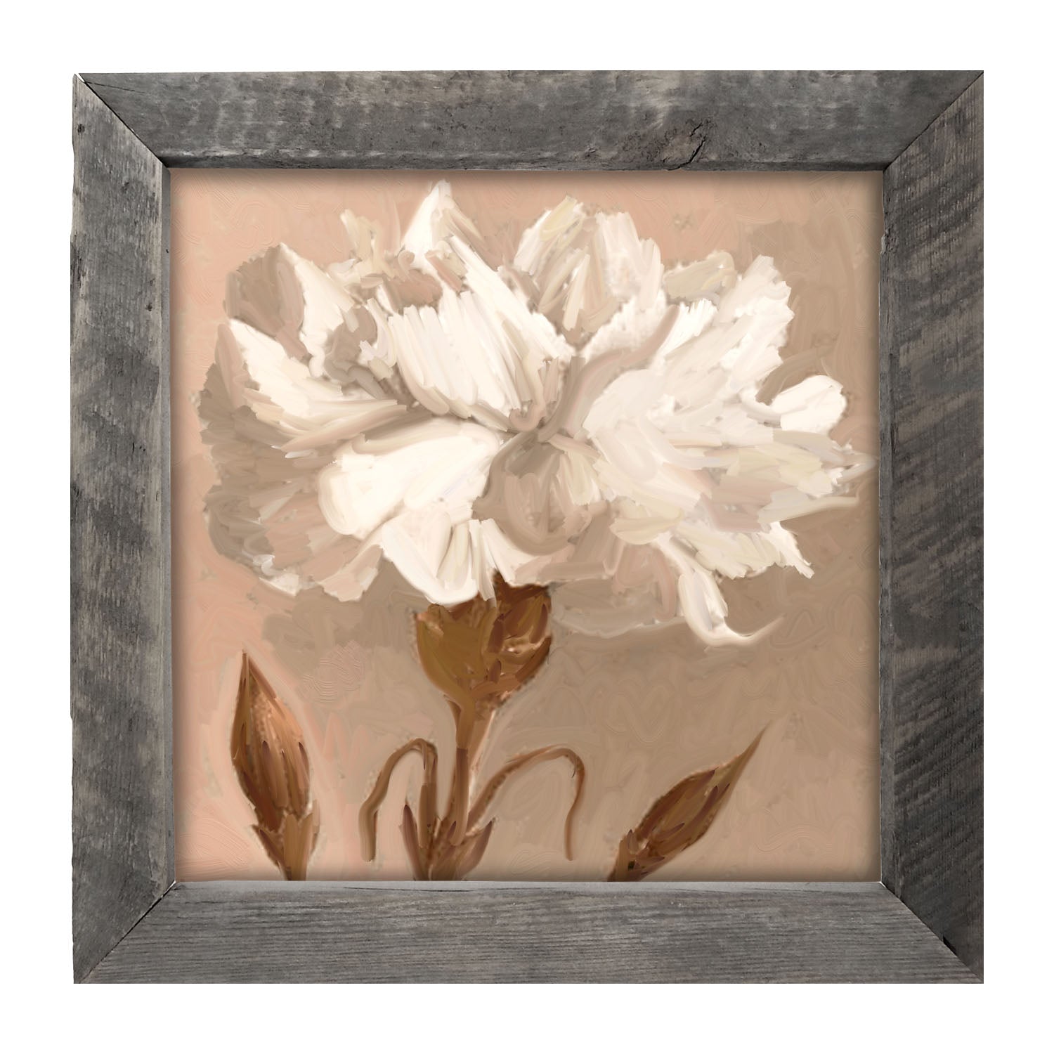 White Carnation - Framed art