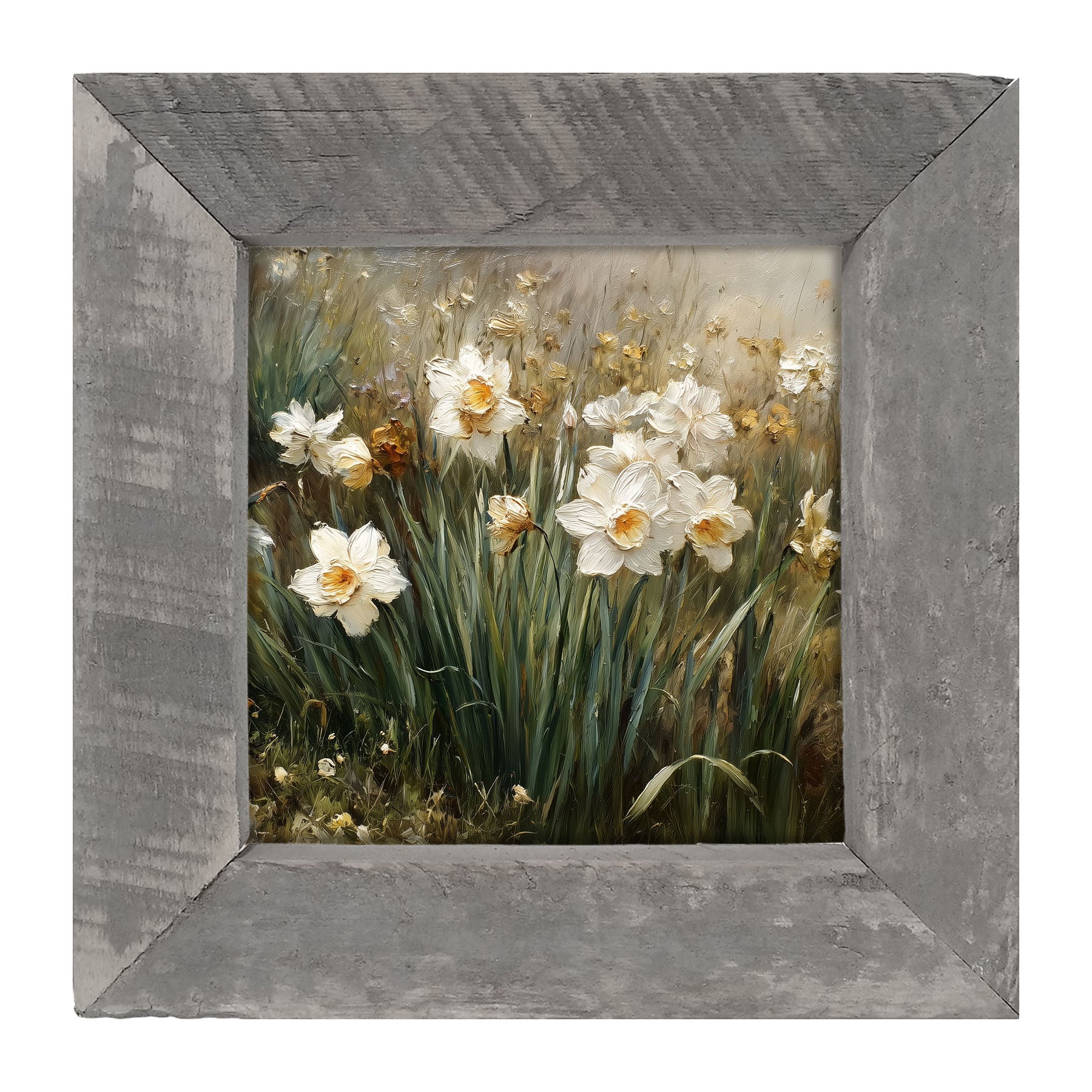 Patch of White Daffodils - Framed Art