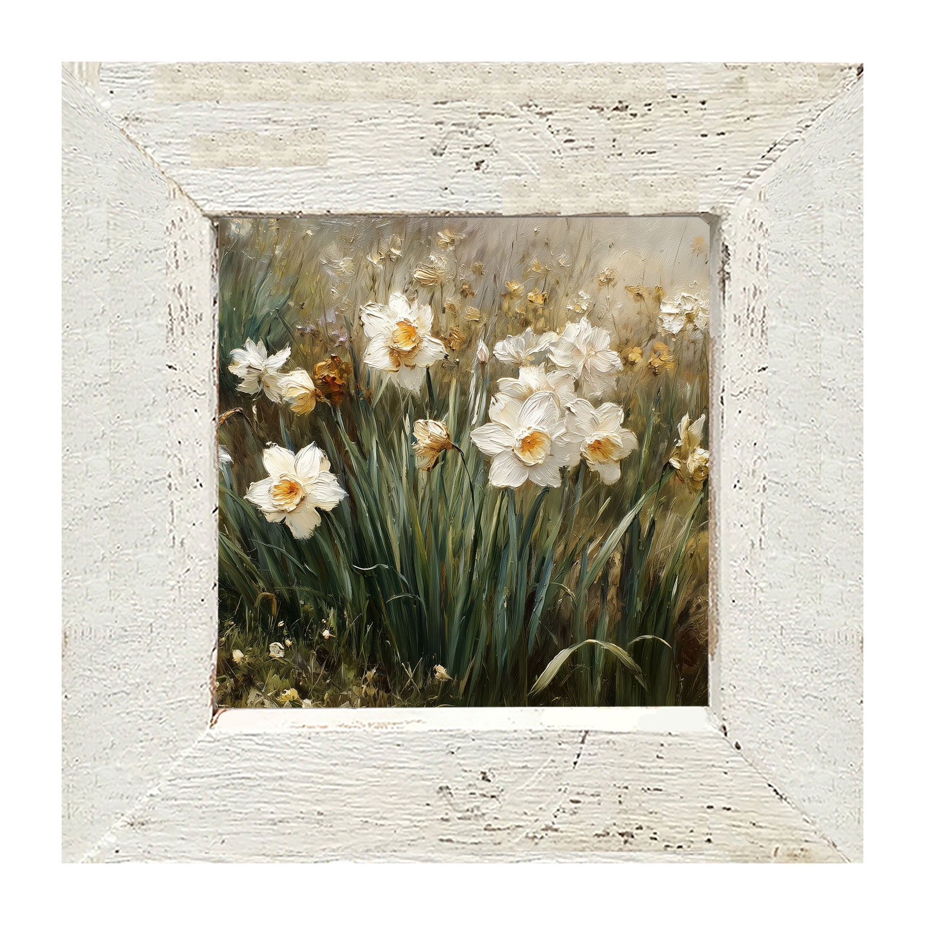 Patch of White Daffodils - Framed Art