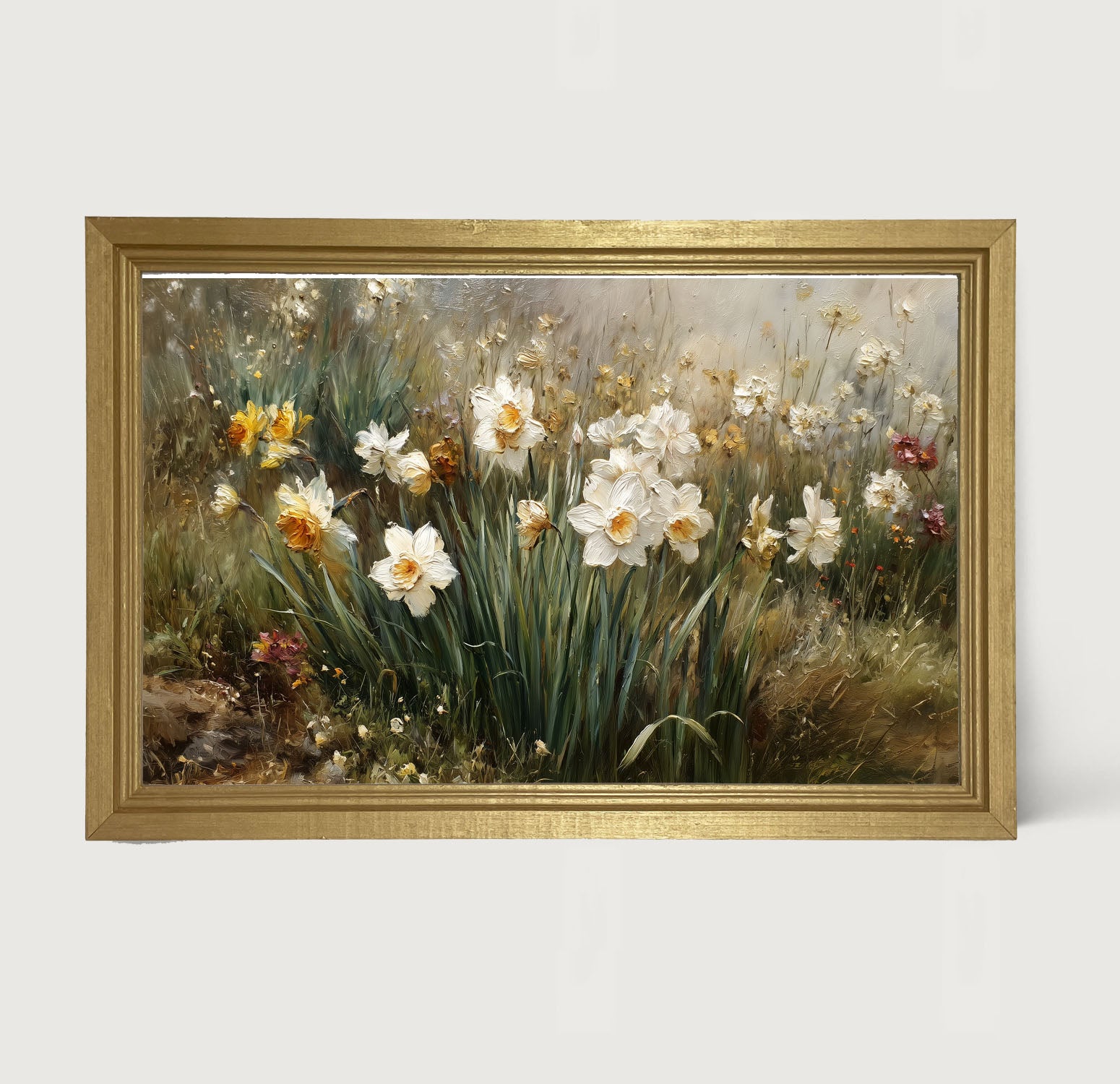 Patch of White Daffodils