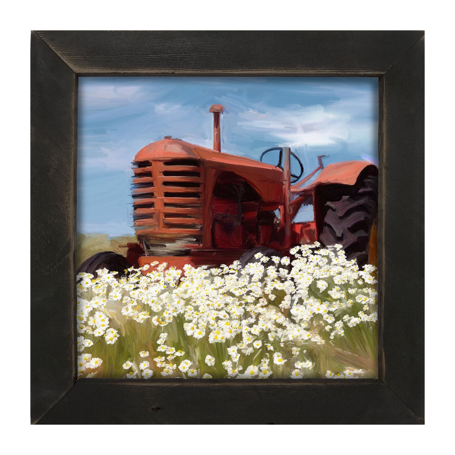 Old Tractor in a Daisy Field - Framed art