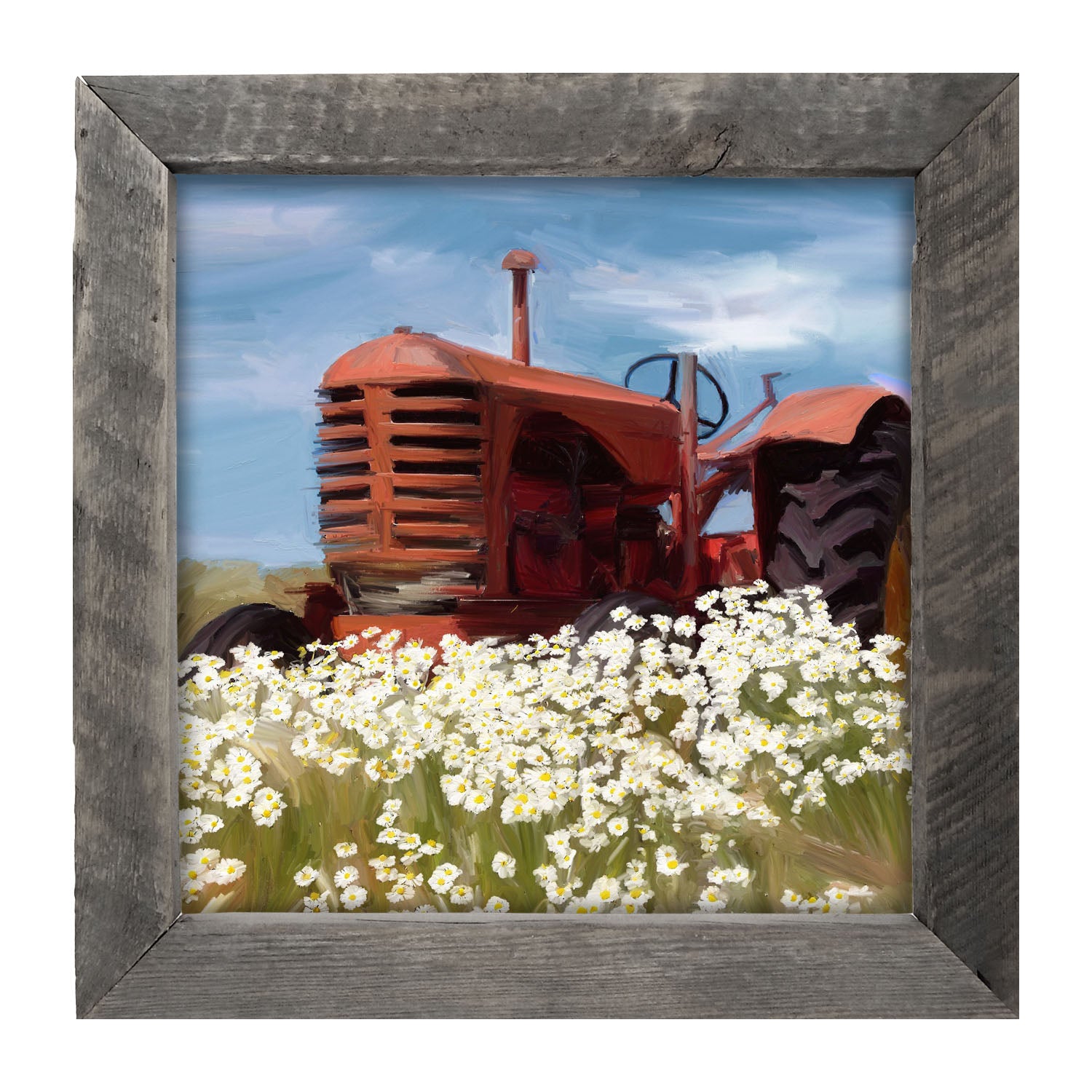 Old Tractor in a Daisy Field - Framed art