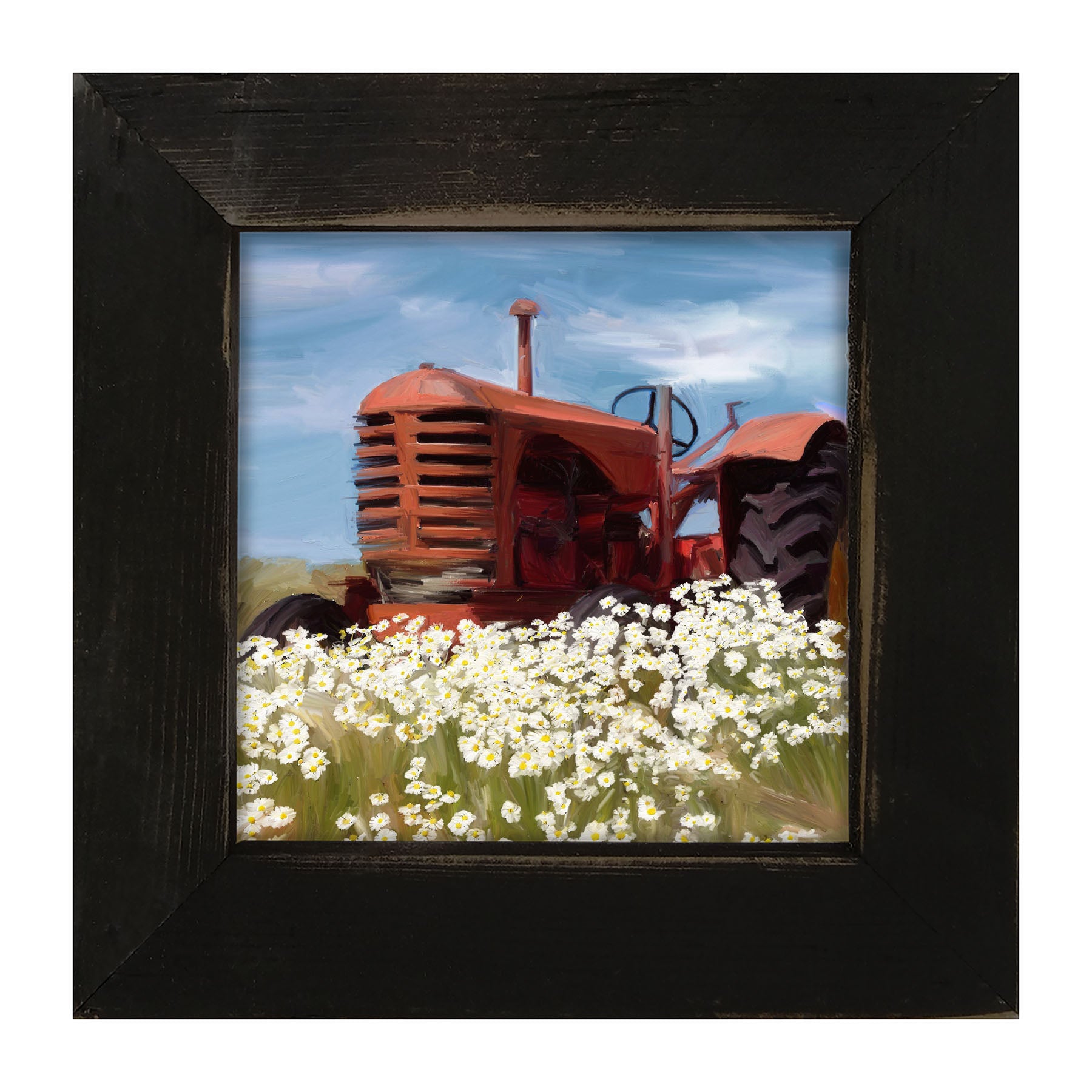 Old Tractor in a Daisy Field - Framed art