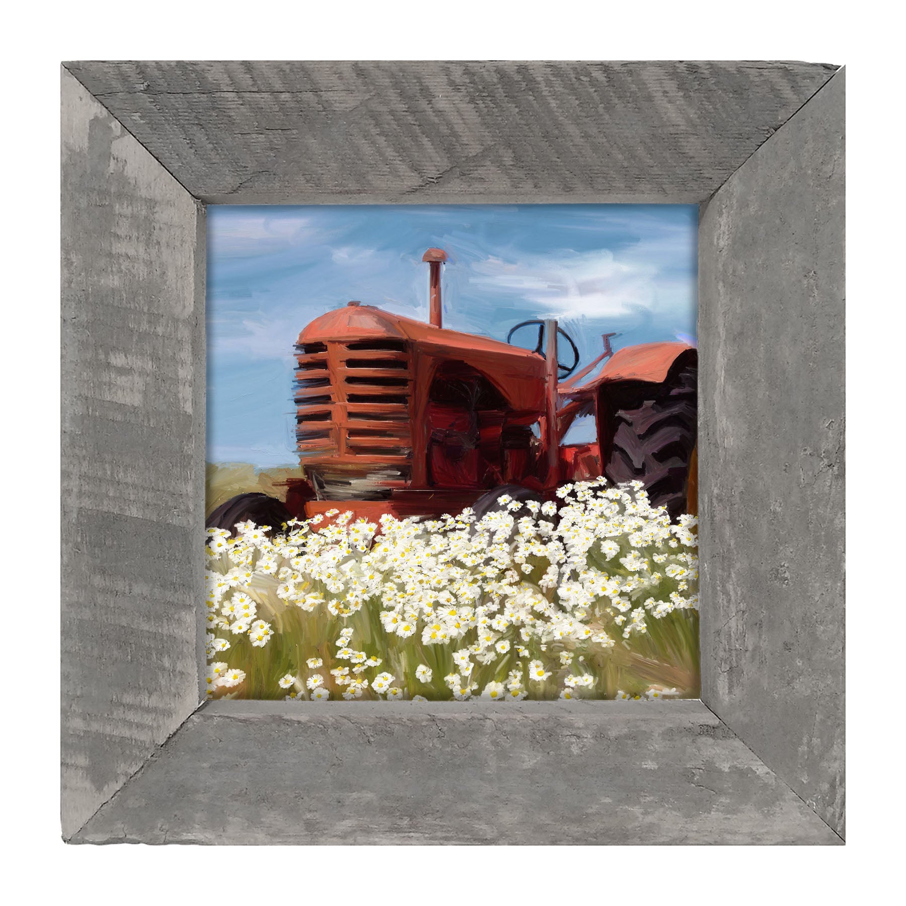Old Tractor in a Daisy Field - Framed art