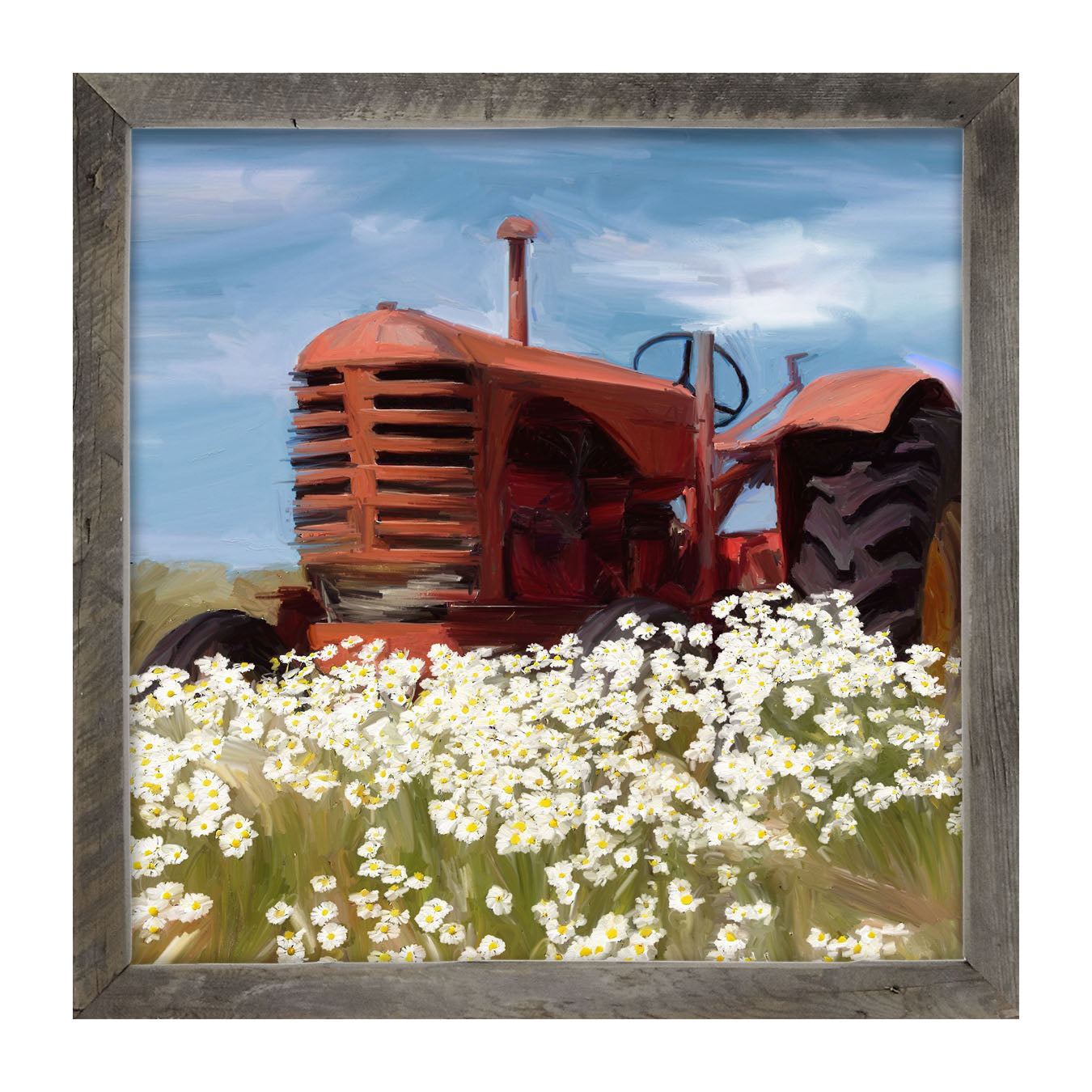 Old Tractor in a Daisy Field - Framed art
