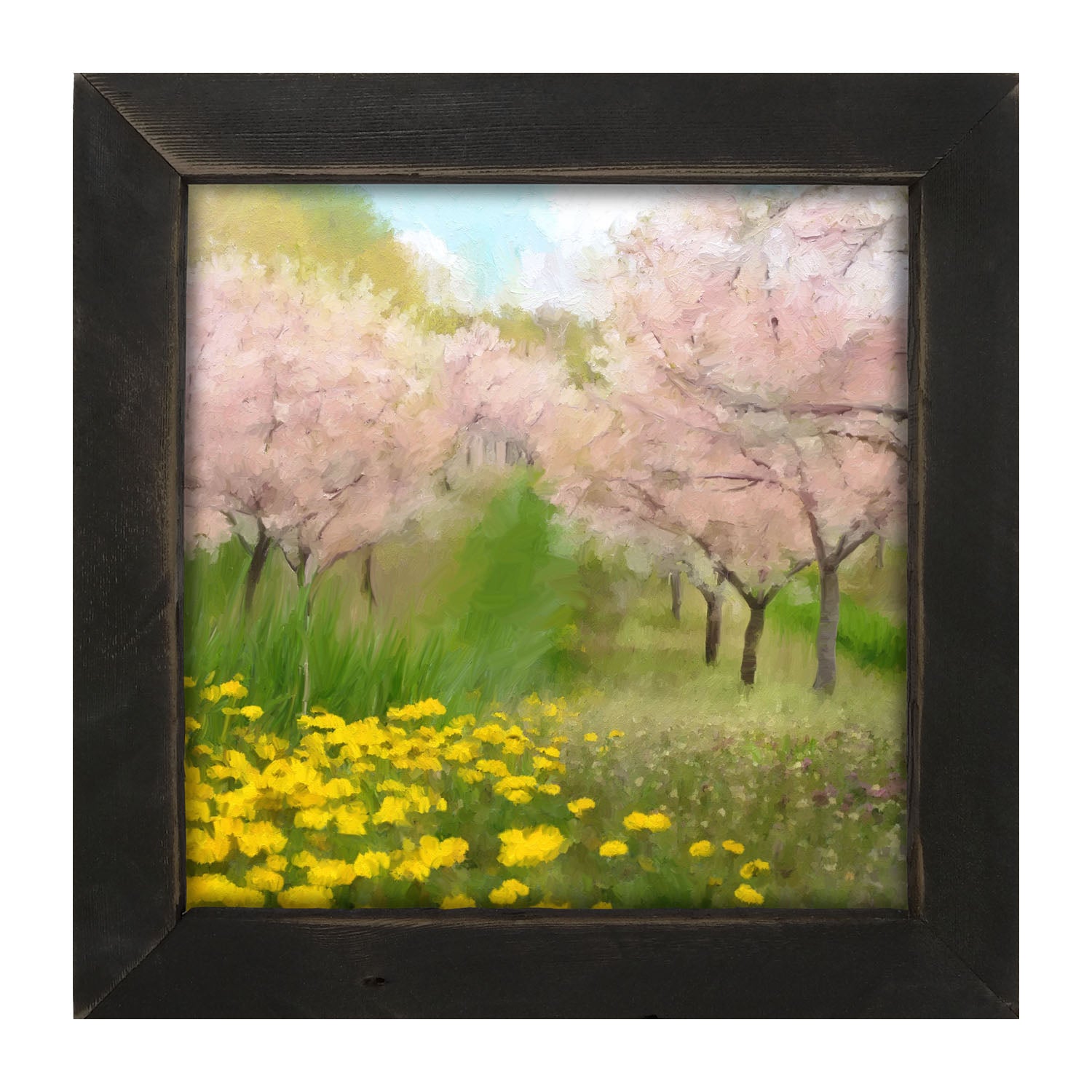 Cherry Blossoms in Bloom - Framed art