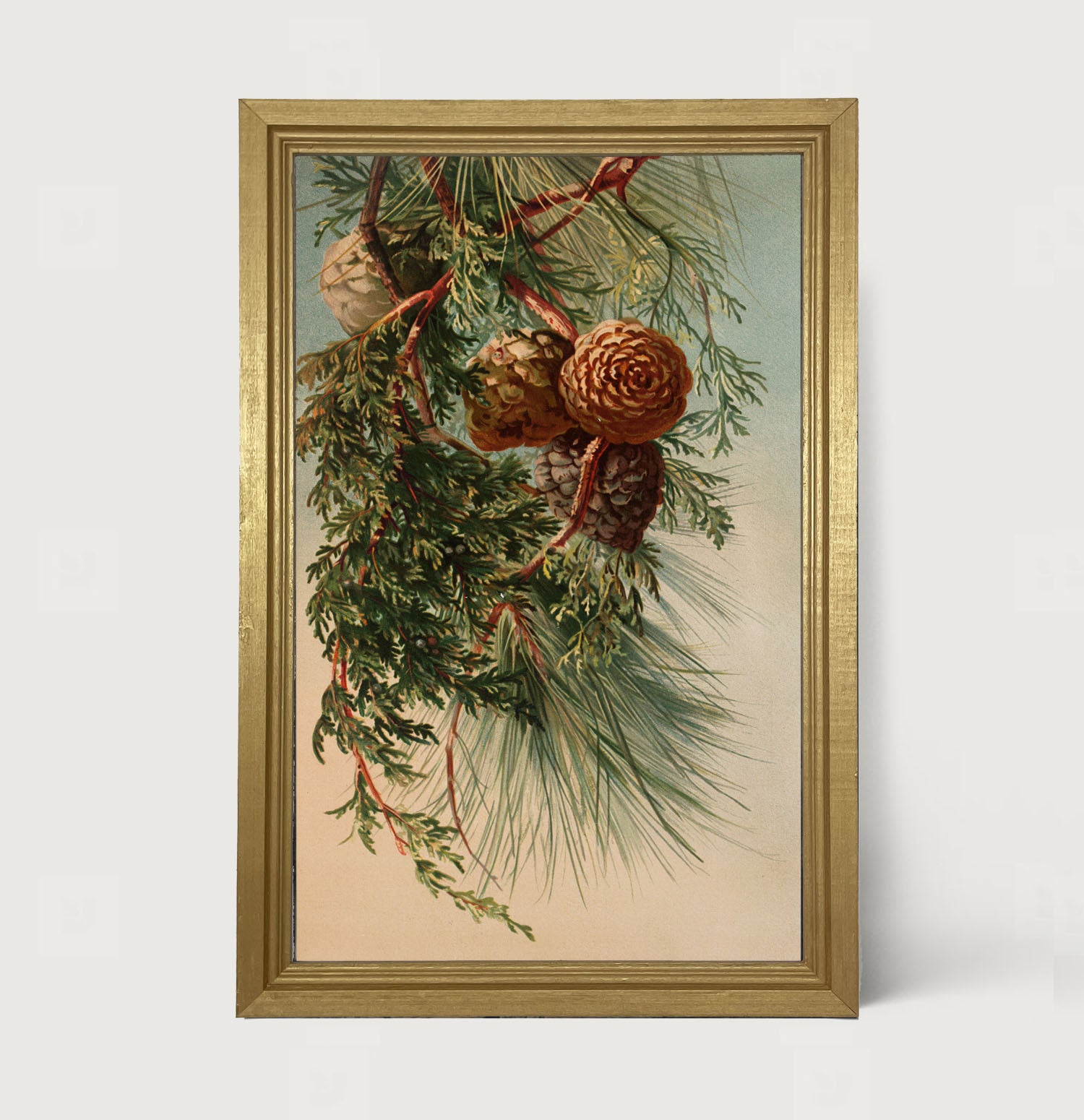 Vintage small pine cones - Framed art
