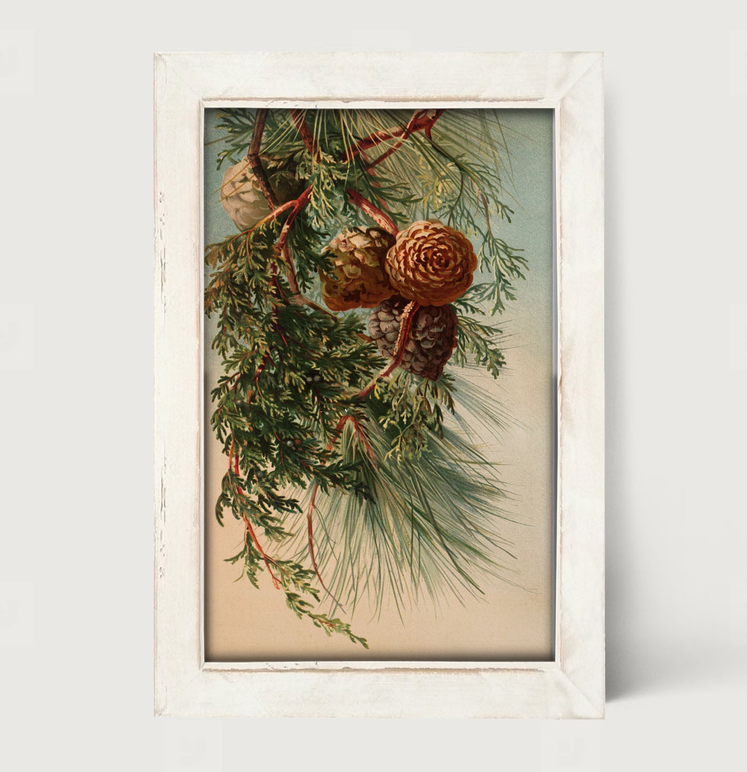 Vintage small pine cones - Framed art