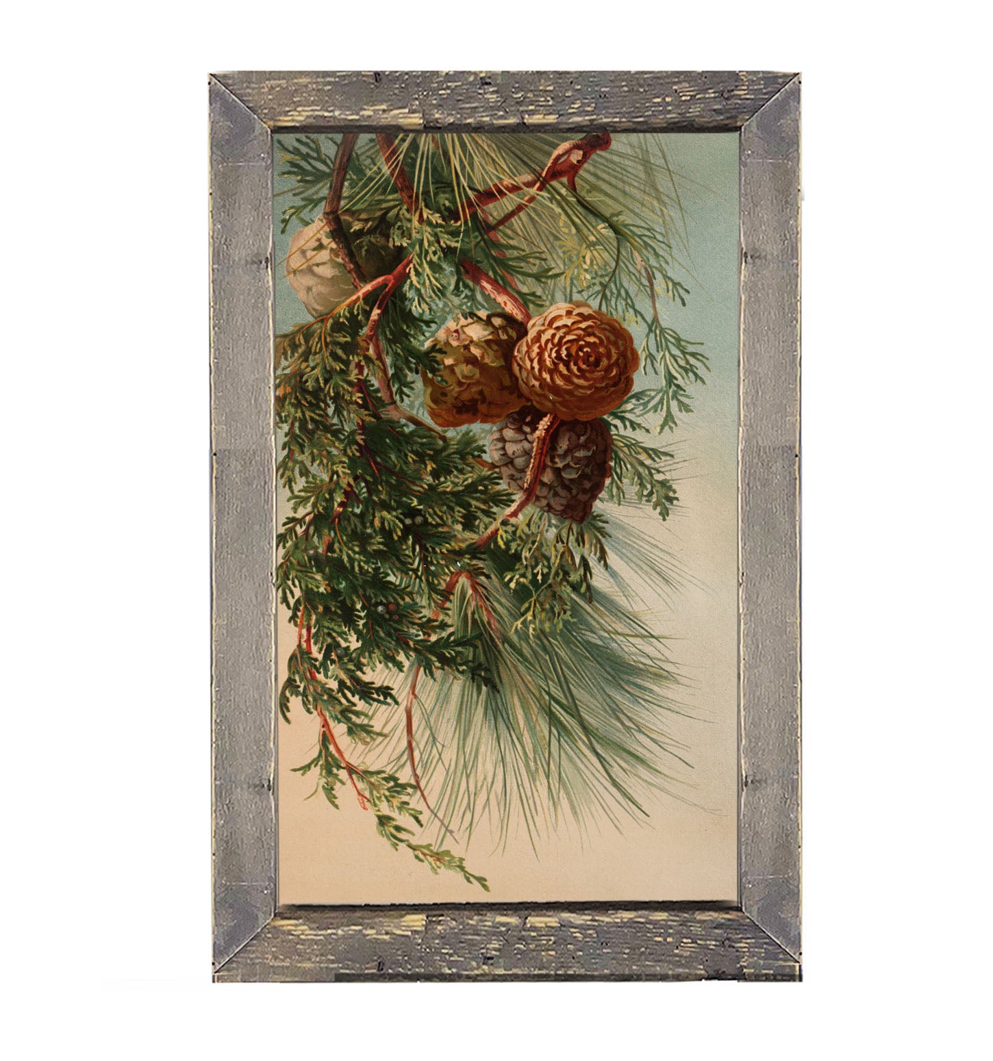 Vintage small pine cones - Framed art