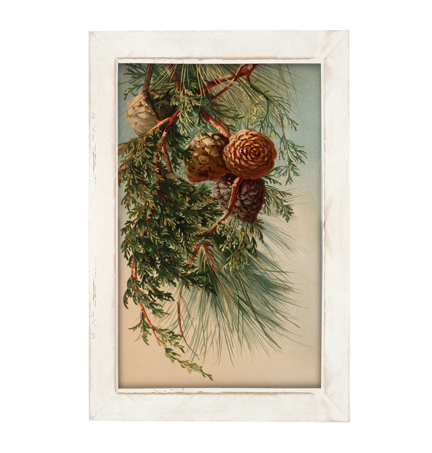 Vintage small pine cones - Framed art