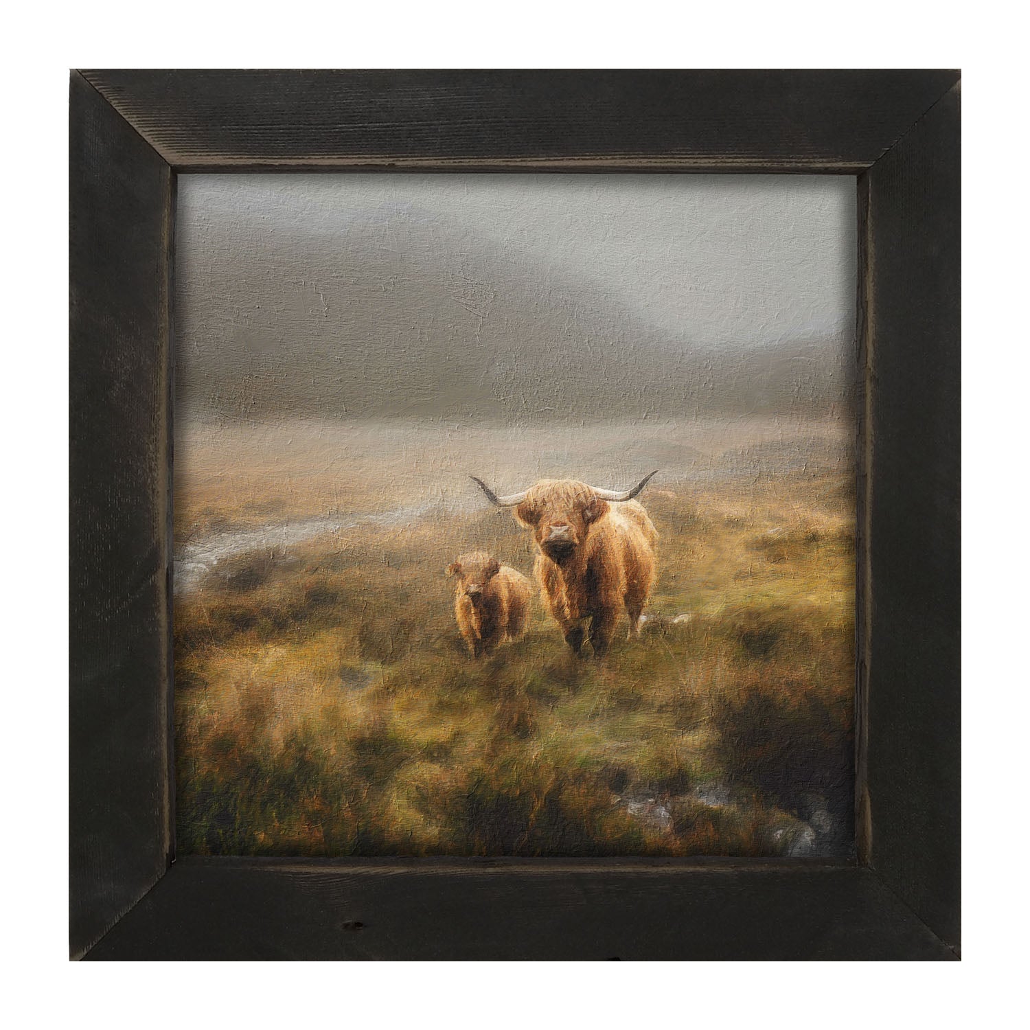 Highland Cows in field - Framed art