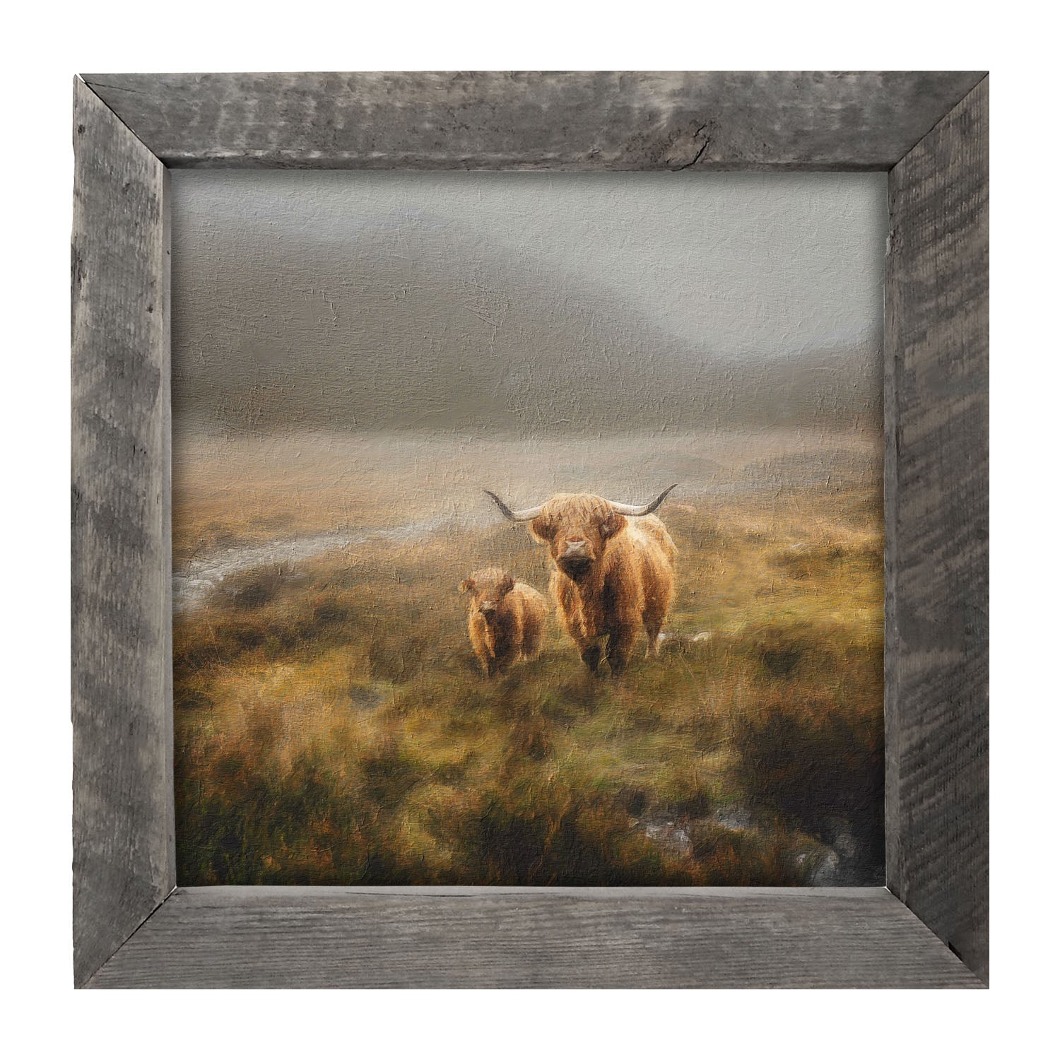 Highland Cows in field - Framed art