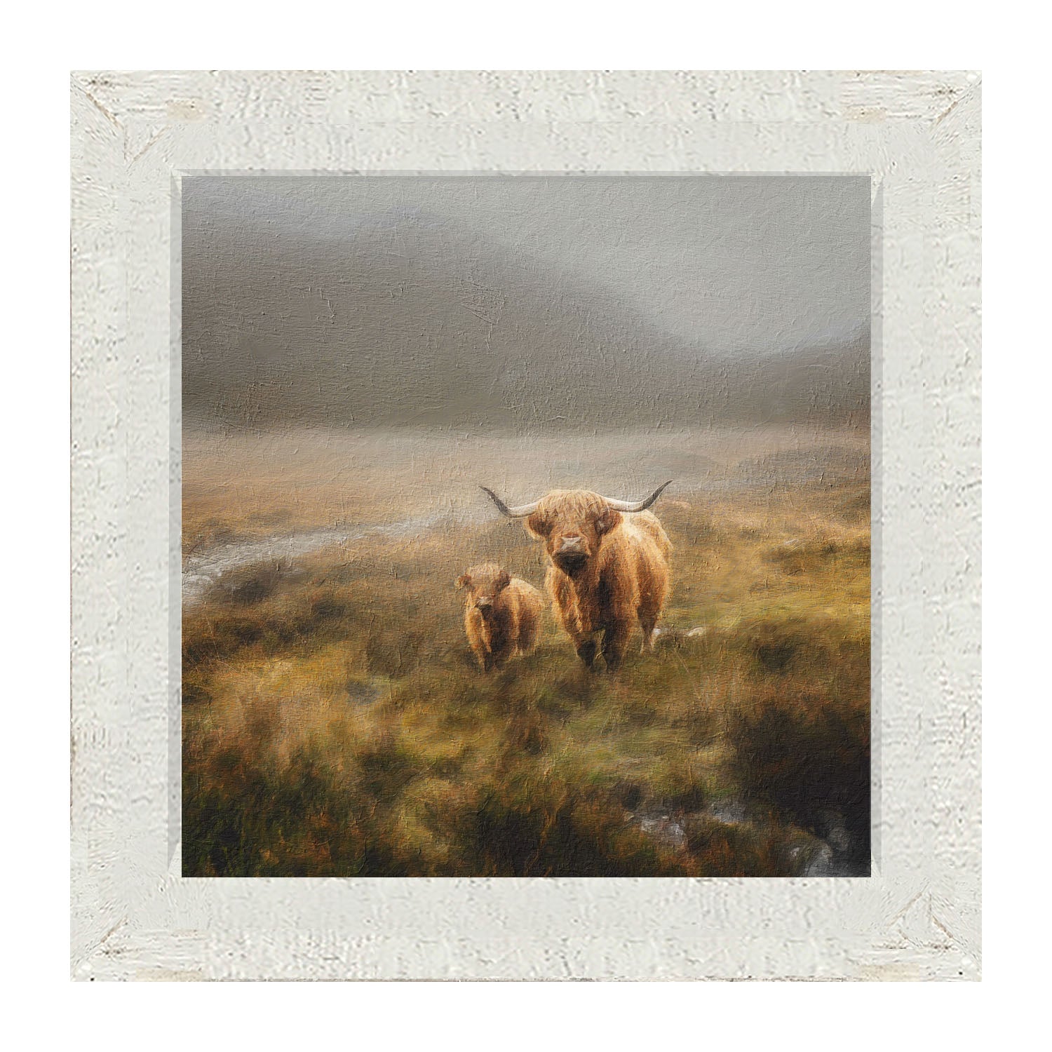 Highland Cows in field - Framed art