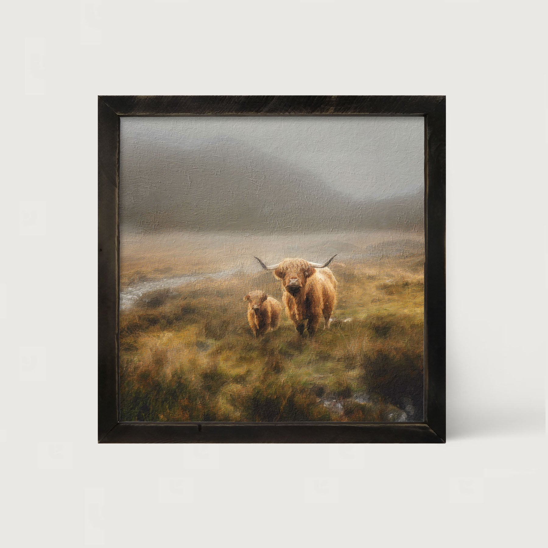 Highland Cows in field - Framed art