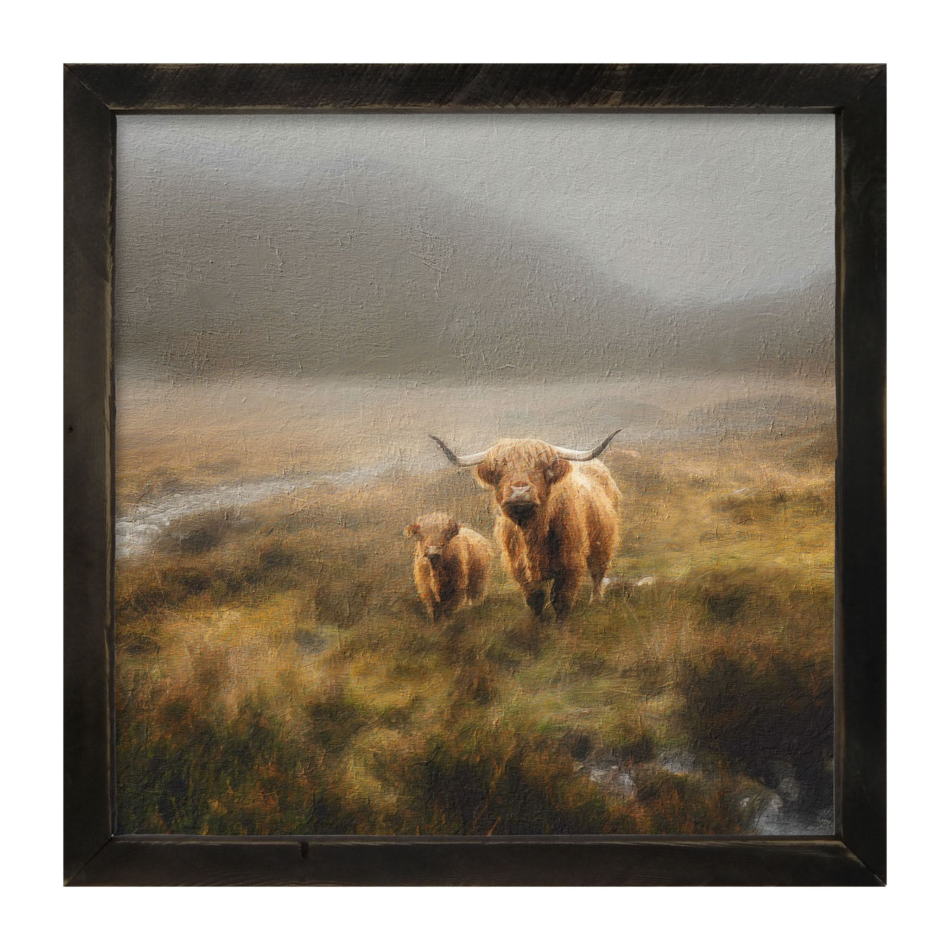 Highland Cows in field - Framed art