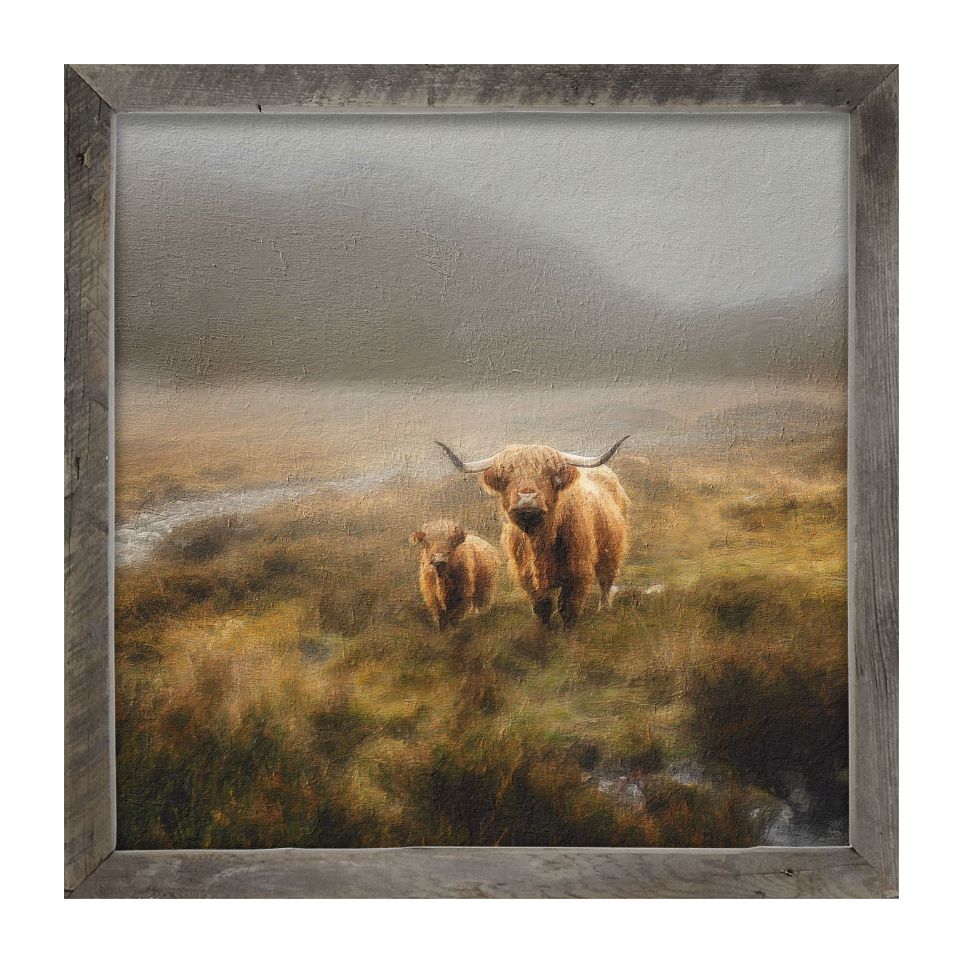 Highland Cows in field - Framed art