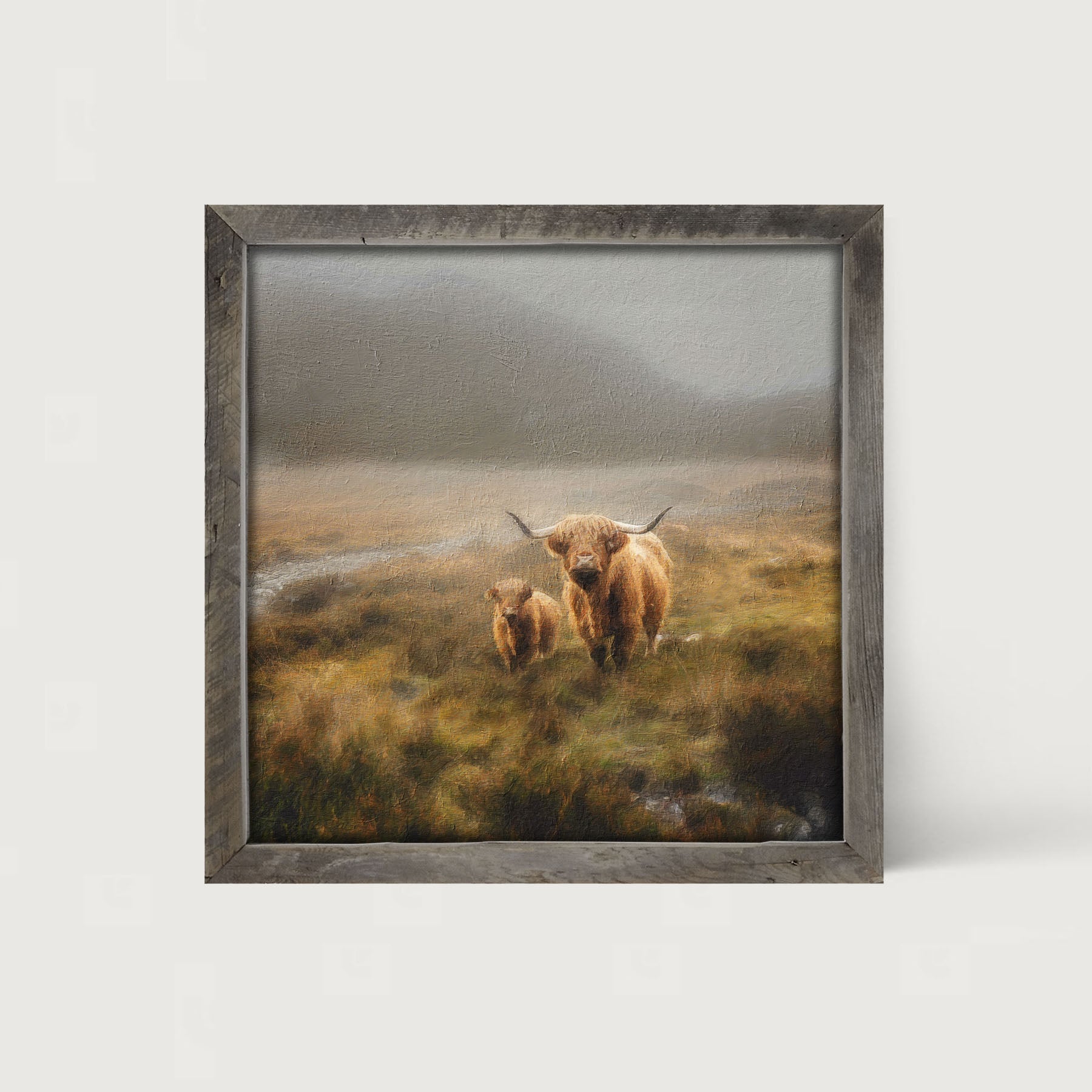 Highland Cows in field - Framed art
